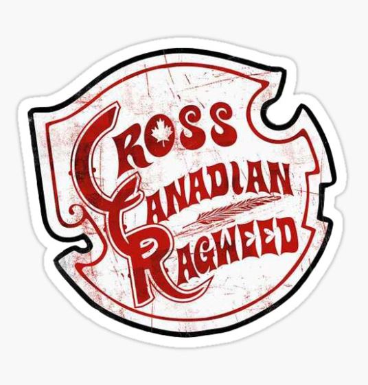 Cross Canadian Ragweed's Cody Canada Interview