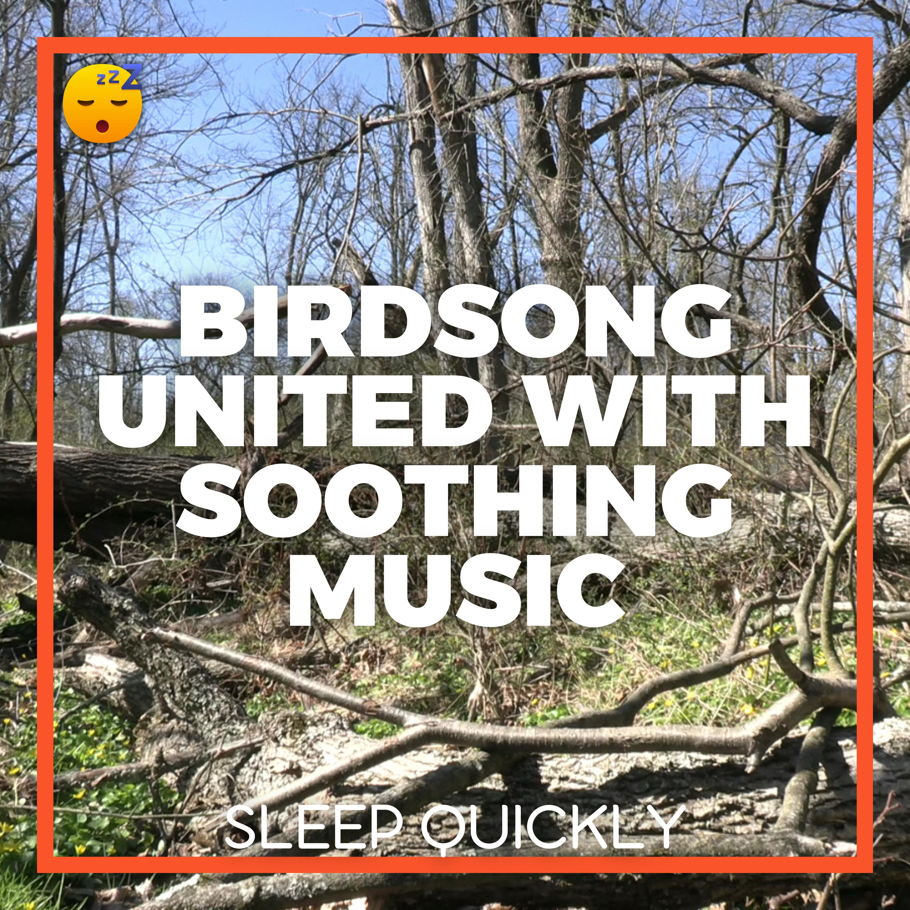😴🍂🎵 BIRDSONG United with Soothing MUSIC for Deep SLEEP episode artwork