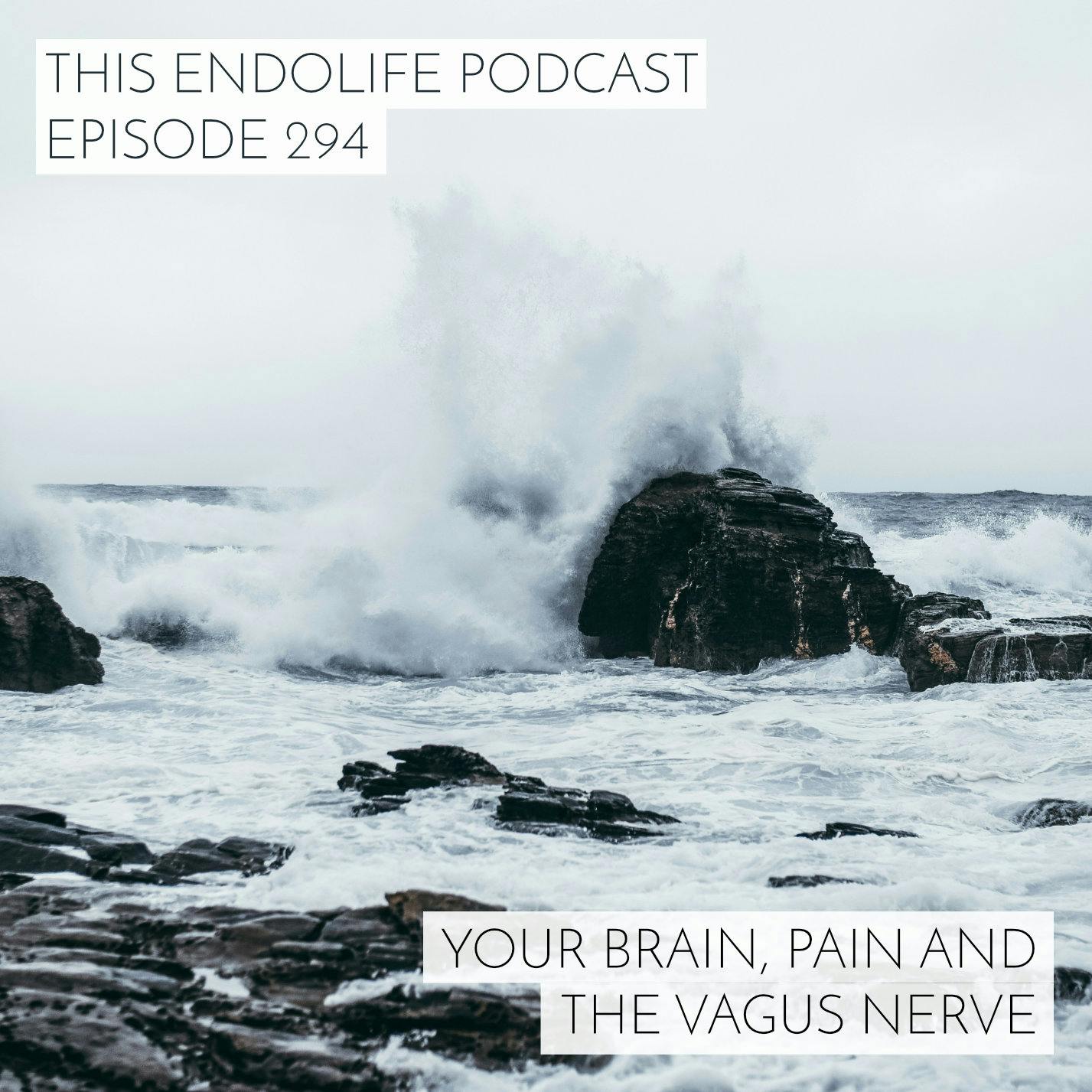 Your Brain, Pain and the Vagus Nerve