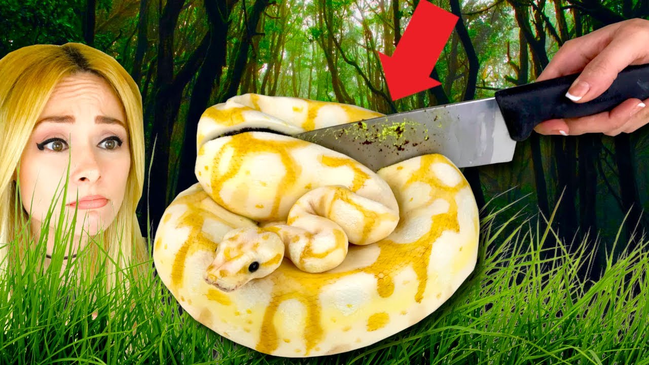 This Snake is Actually a CAKE! 😱 episode artwork
