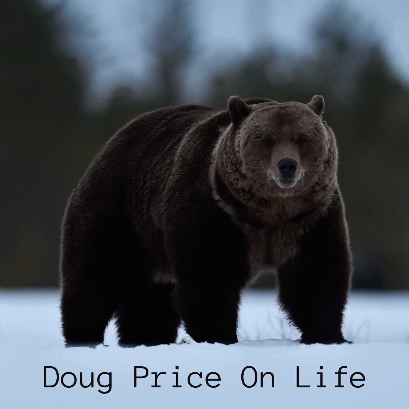 Doug Price On Life