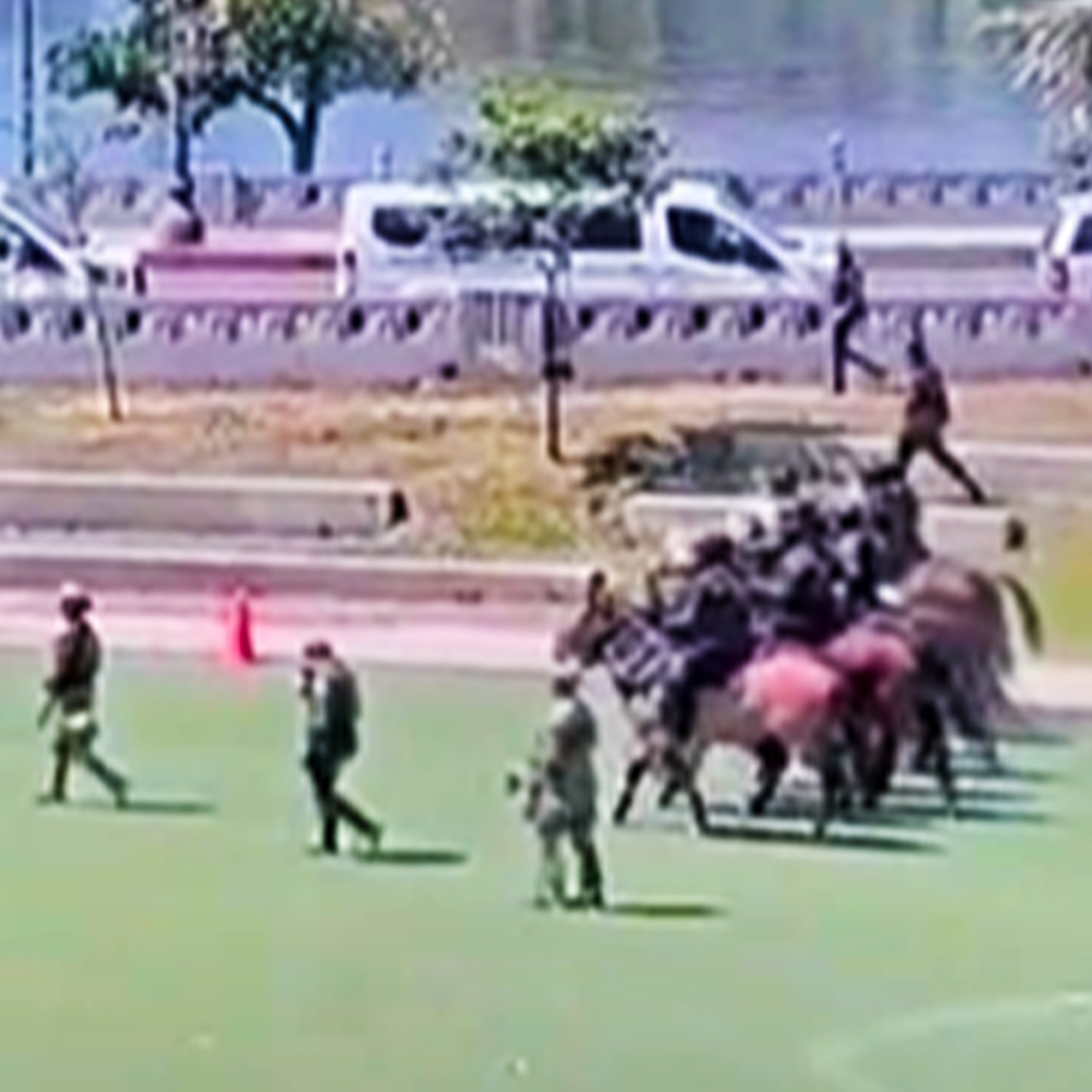 Troops March on An L.A. Park