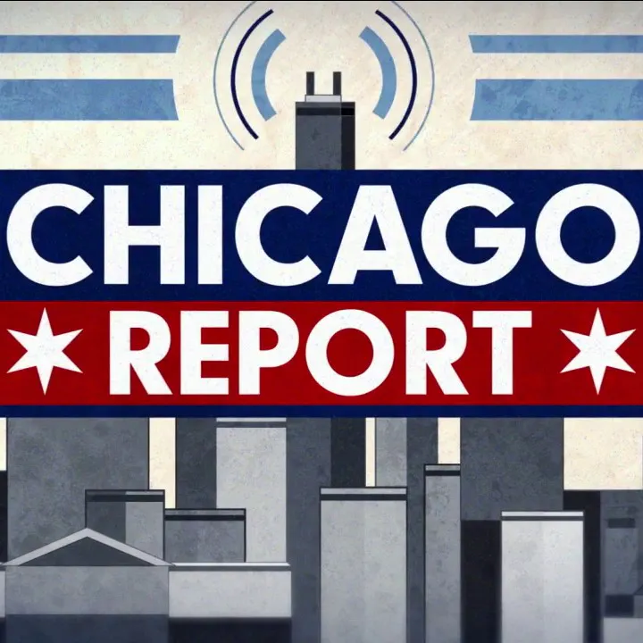 Pritzker says Rep. Ammons should resign, Chicago crime survey | The Chicago Report episode artwork