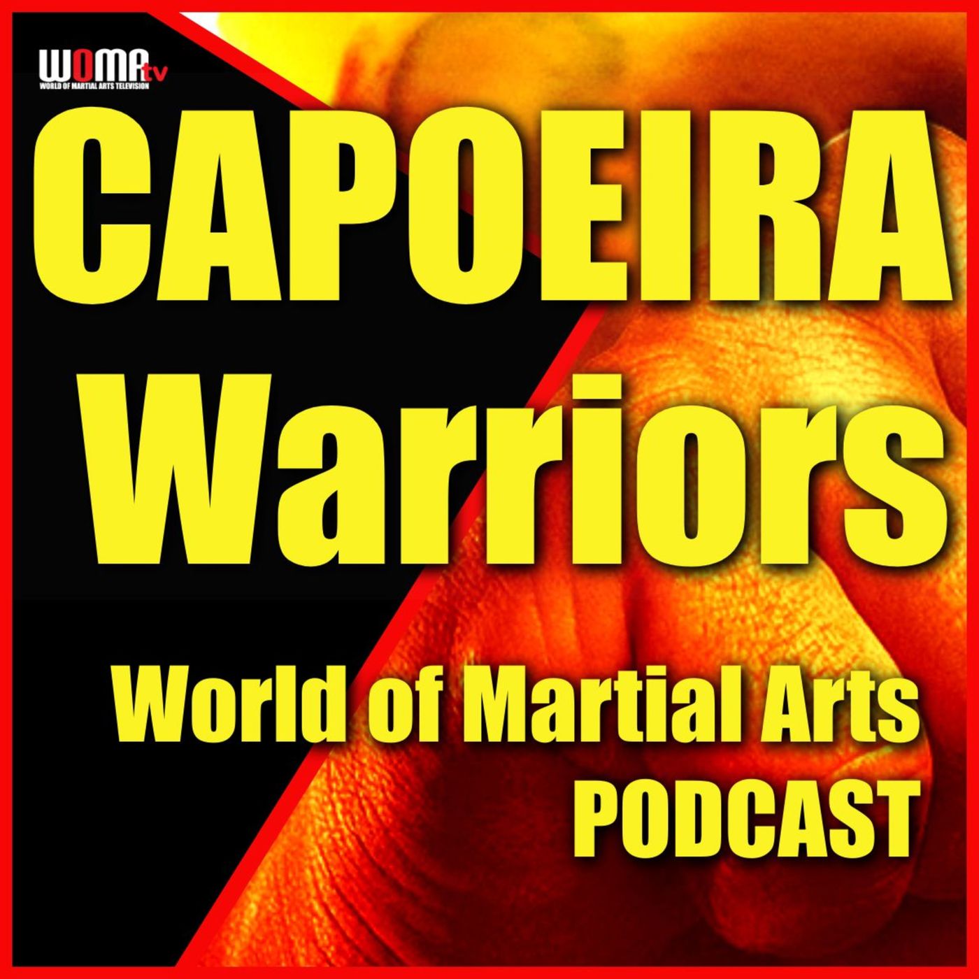 World of Martial Arts Show