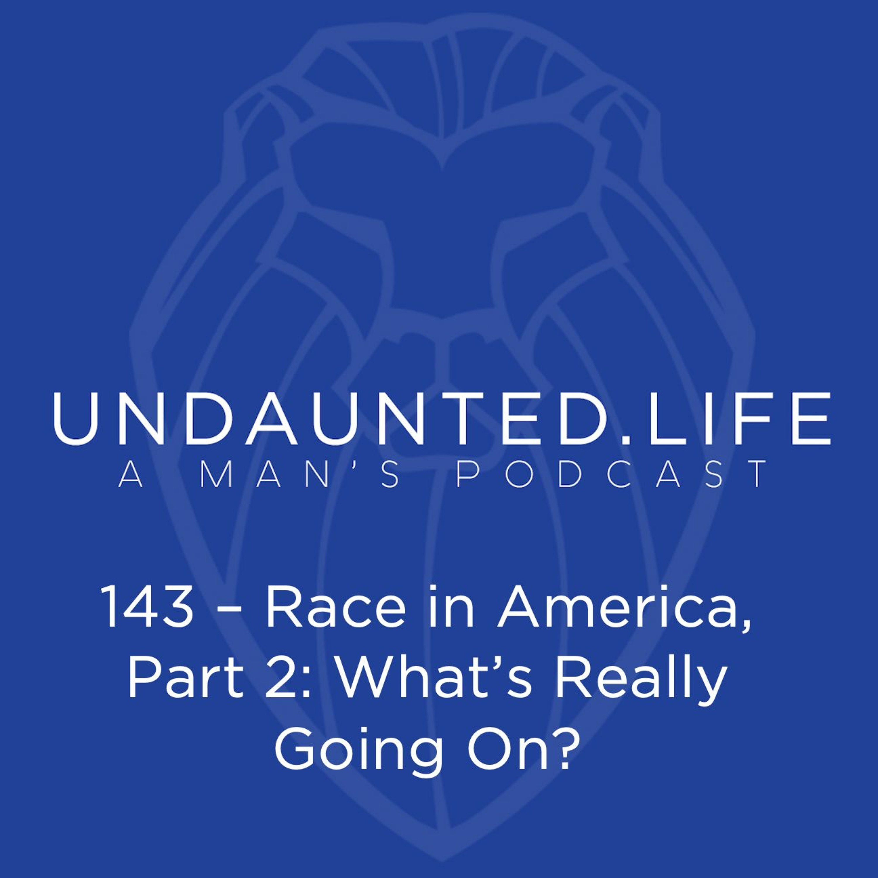 143 – Race In America, Part 2 – What’s Really Going On?