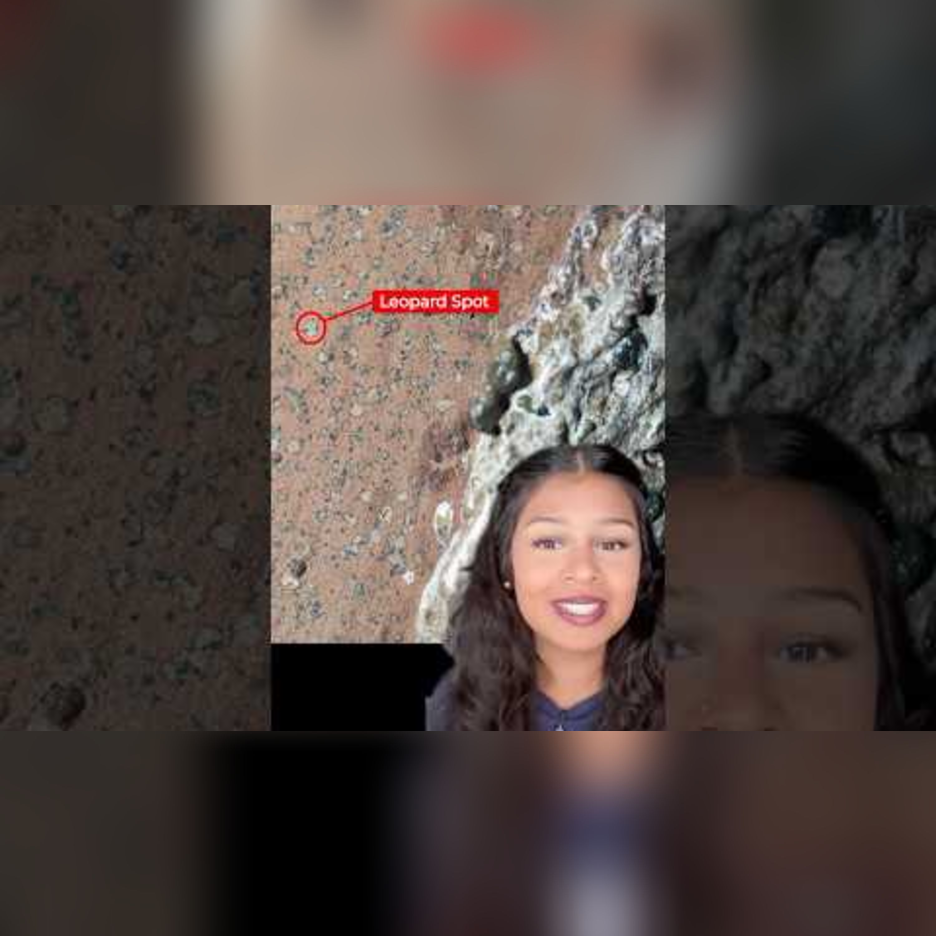 NASA Reveals Signs of Ancient Life on Mars episode artwork