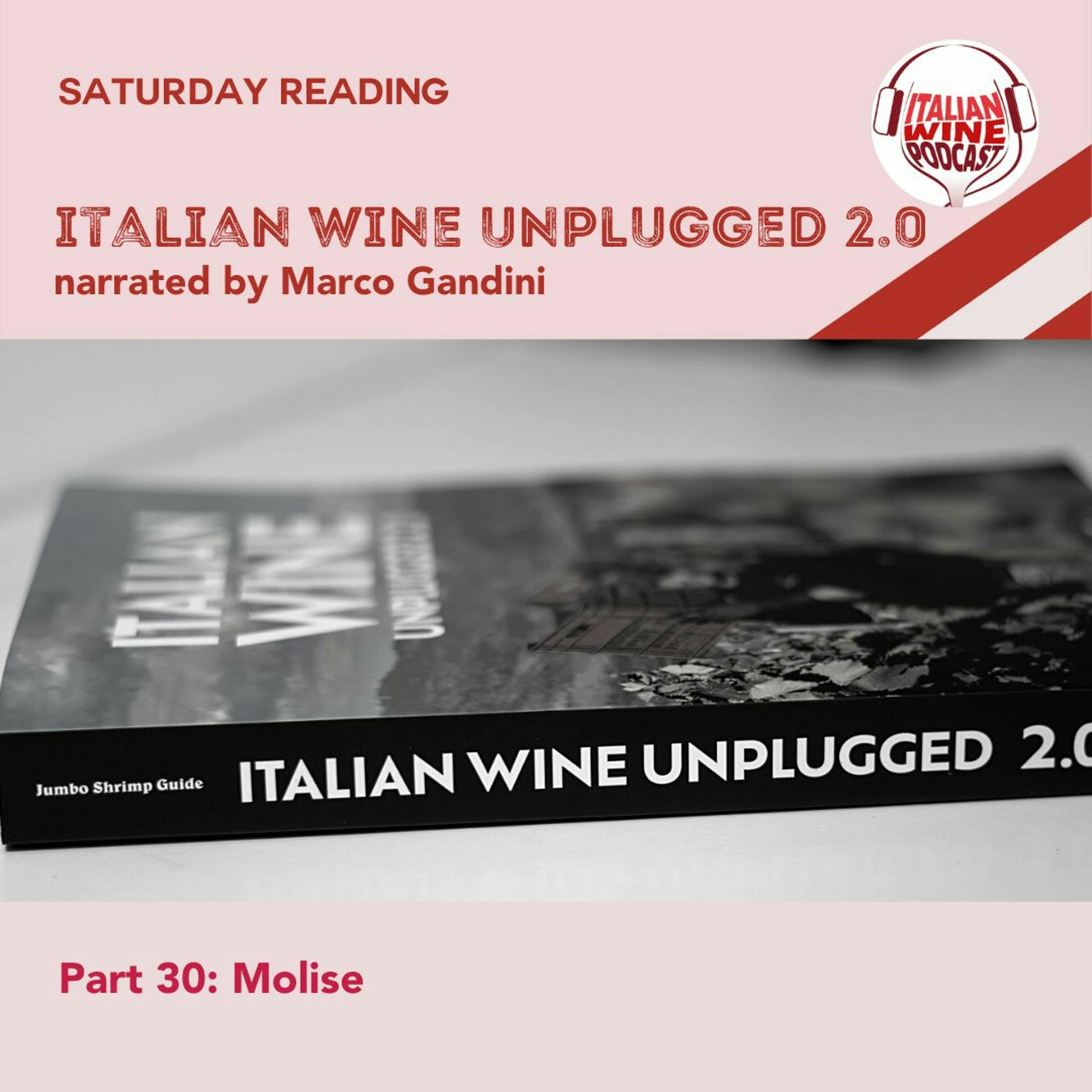 Ep. 1521 Marco Gandini Narrates Pt. 30 | Italian Wine Unplugged 2.0