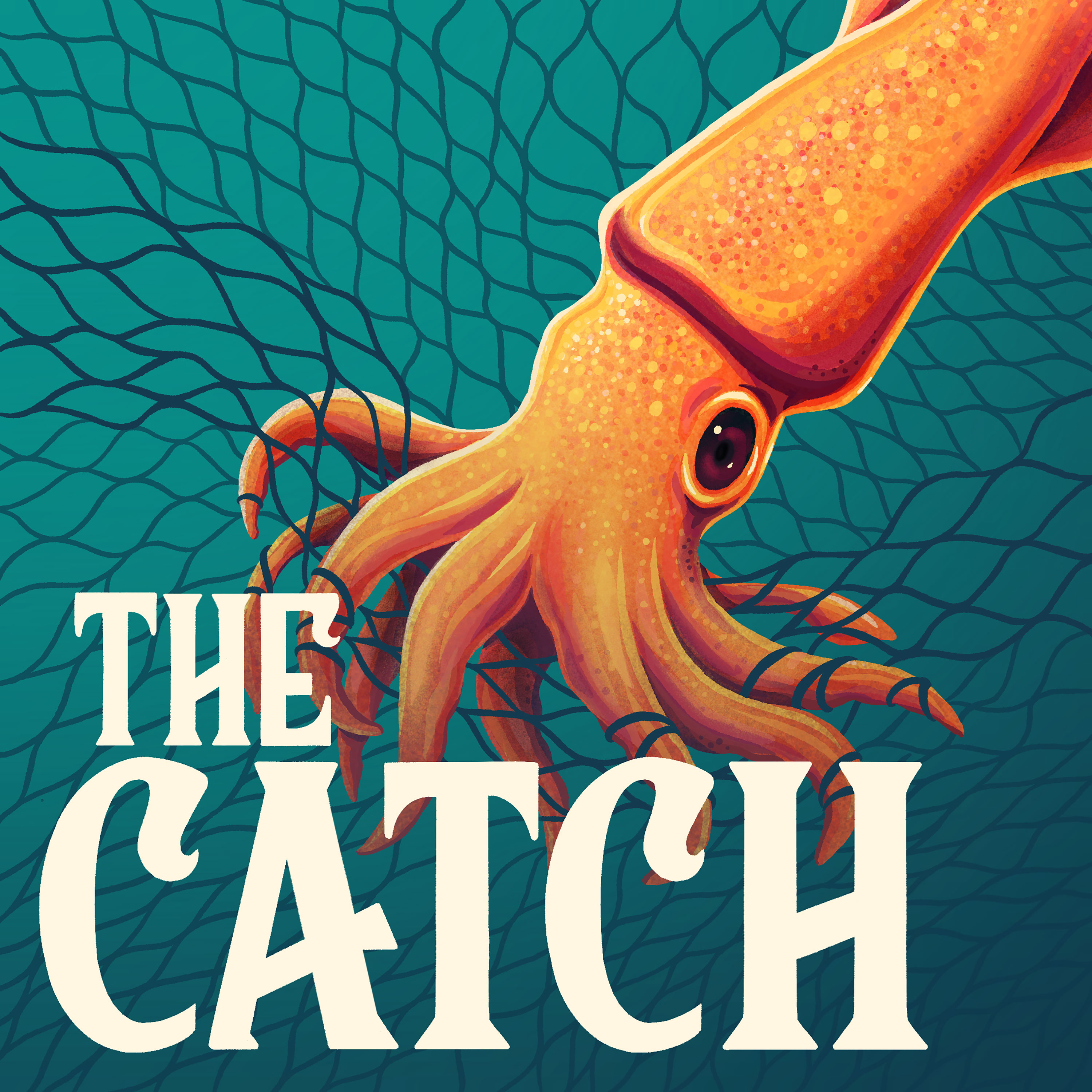 Introducing The Catch