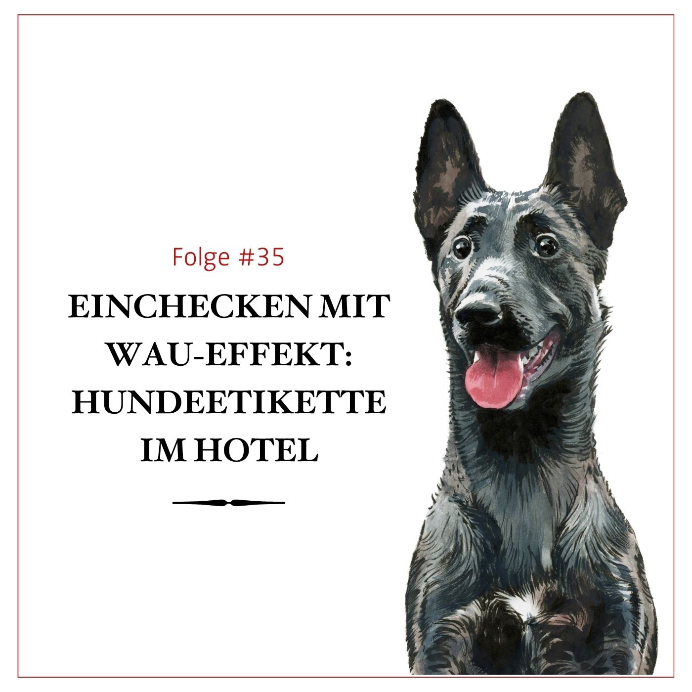 Einchecken mit Wau-Effekt: Hundeetikette im Hotel – #35 episode artwork