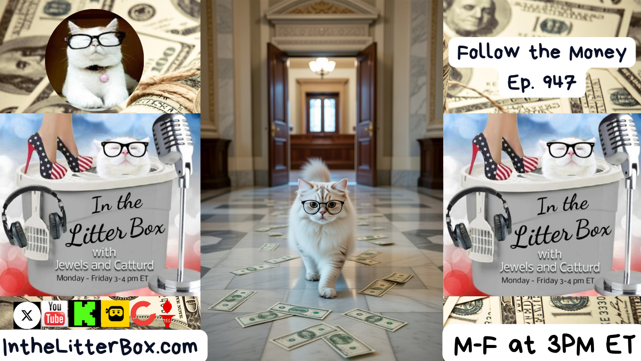Follow the Money | In the Litter Box w/ Jewels & Catturd – Ep. 947 – 1/12/2026