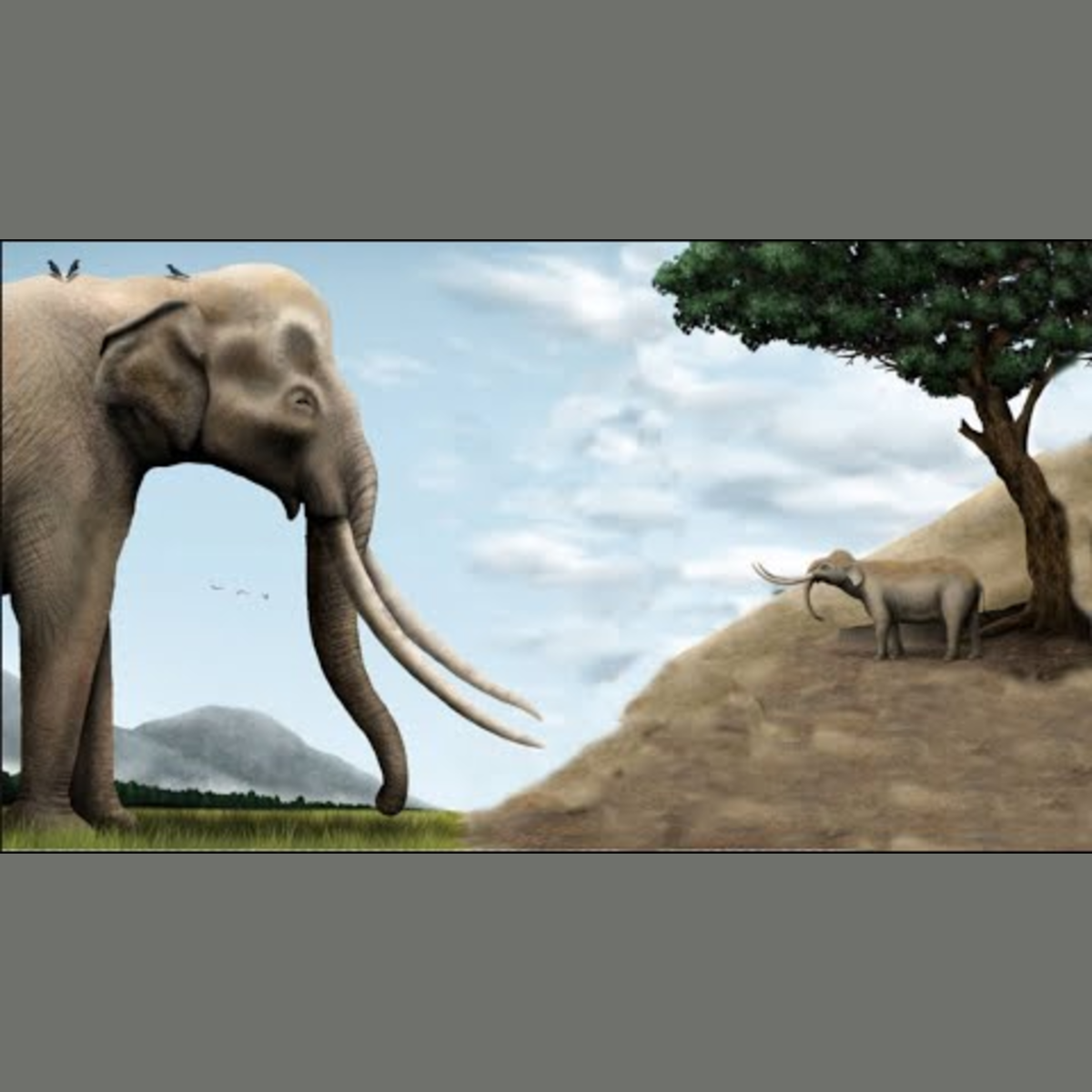 Palaeoloxodon - Ancient Animal episode artwork