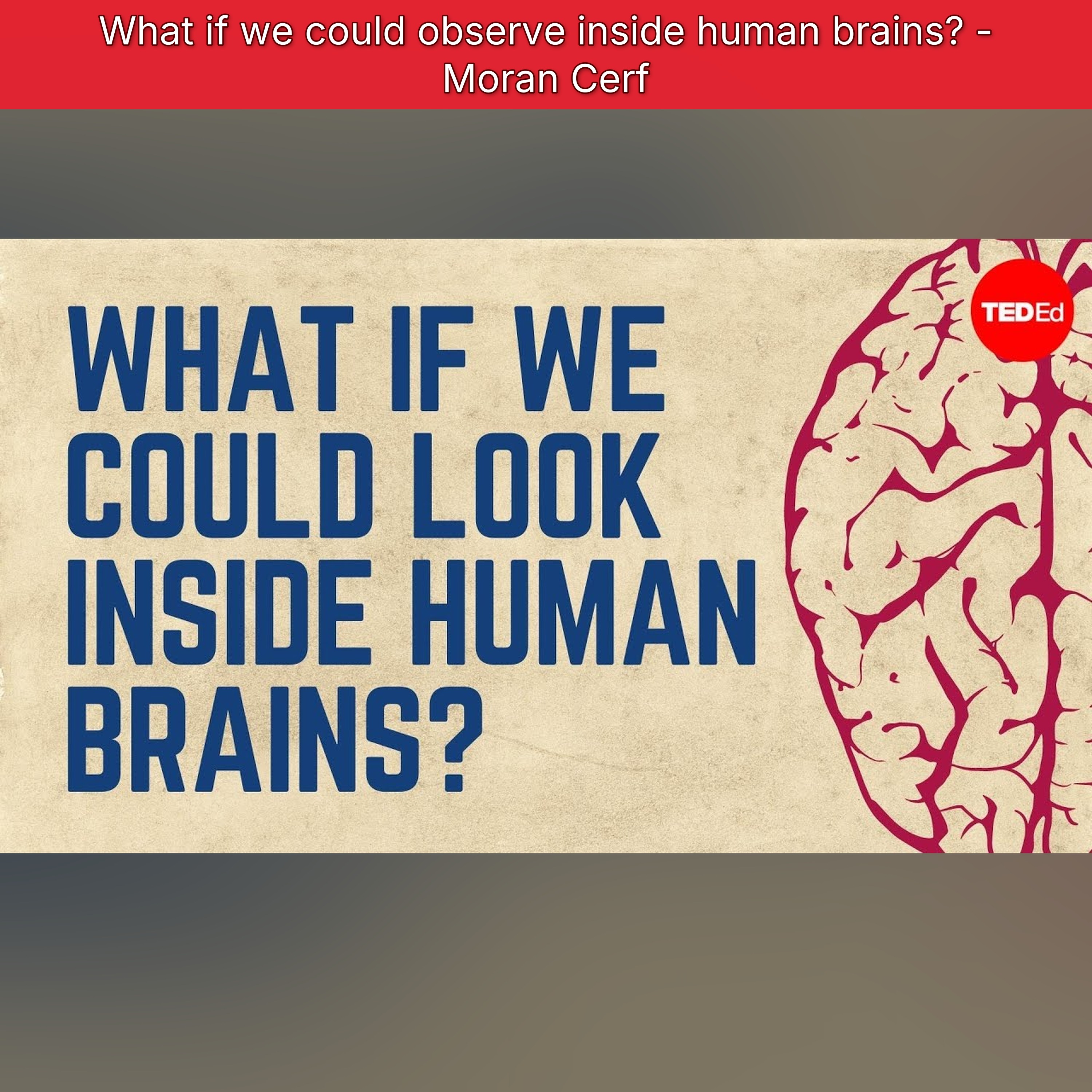 What if we could observe inside human brains? - Moran Cerf episode artwork