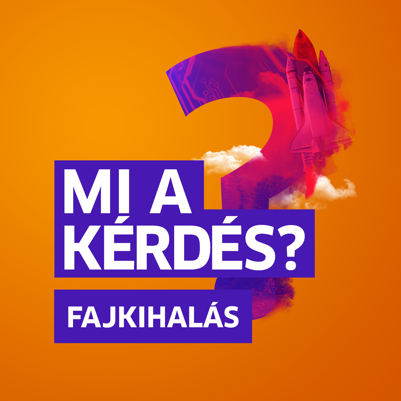 A cukisága menti meg a pandát a kihalástól? | Mi a kérdés? Gigler Dórával episode artwork