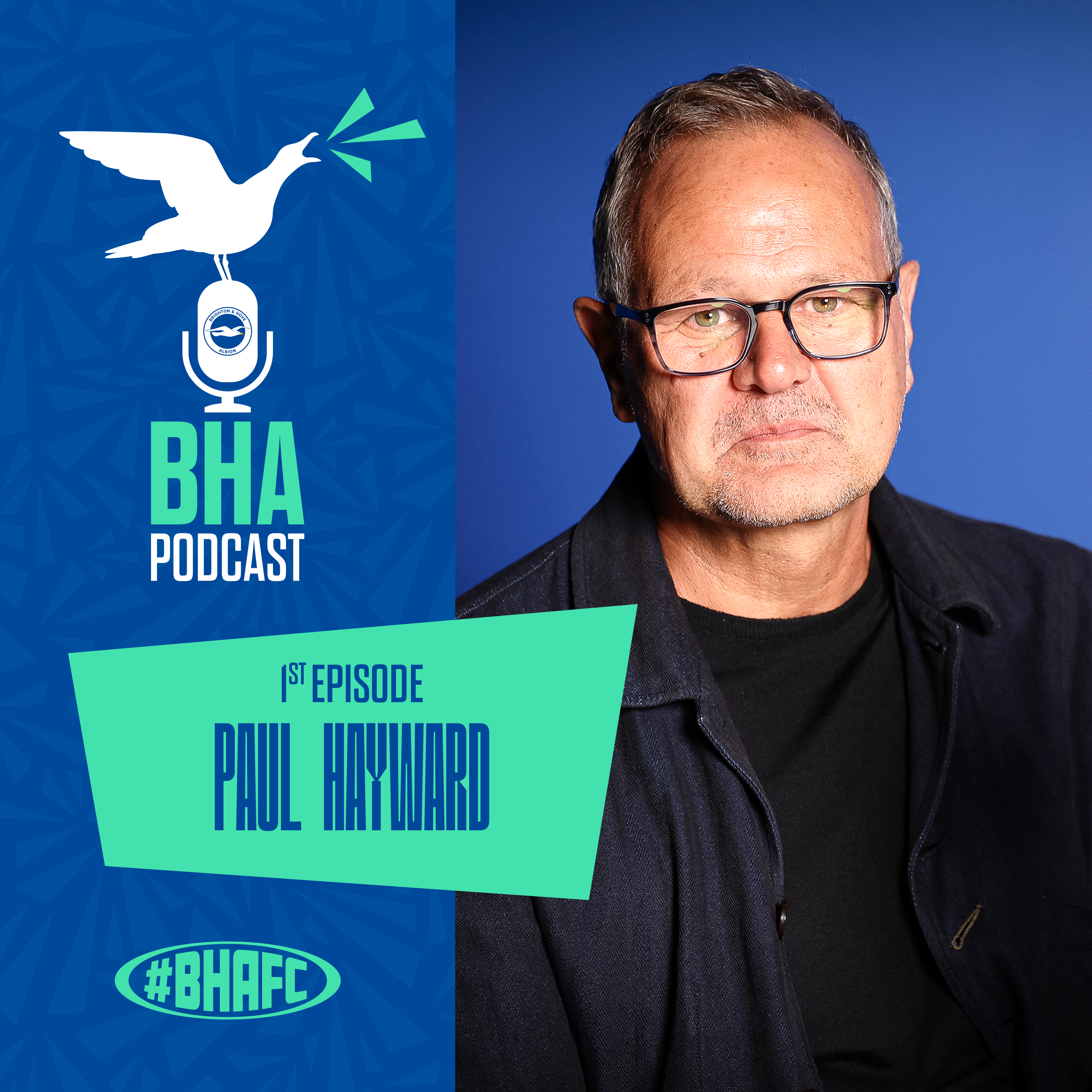 The Official Brighton and Hove Albion Podcast