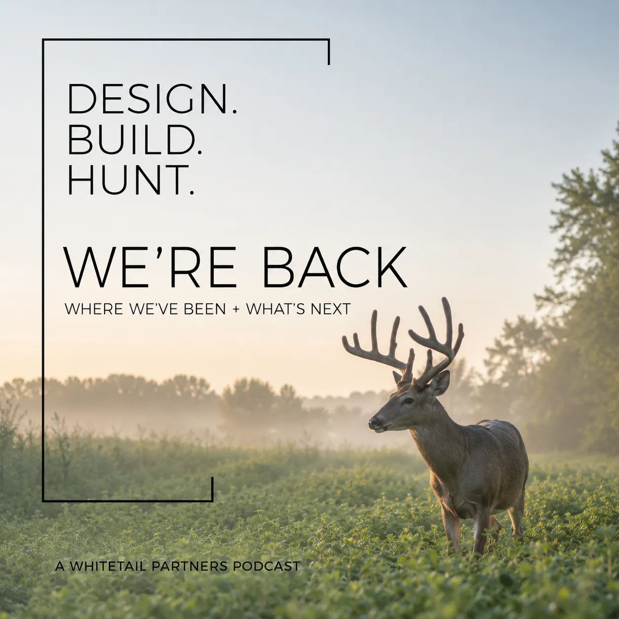 We're Back! - Where We’ve Been and What’s Next for Whitetail Partners episode artwork