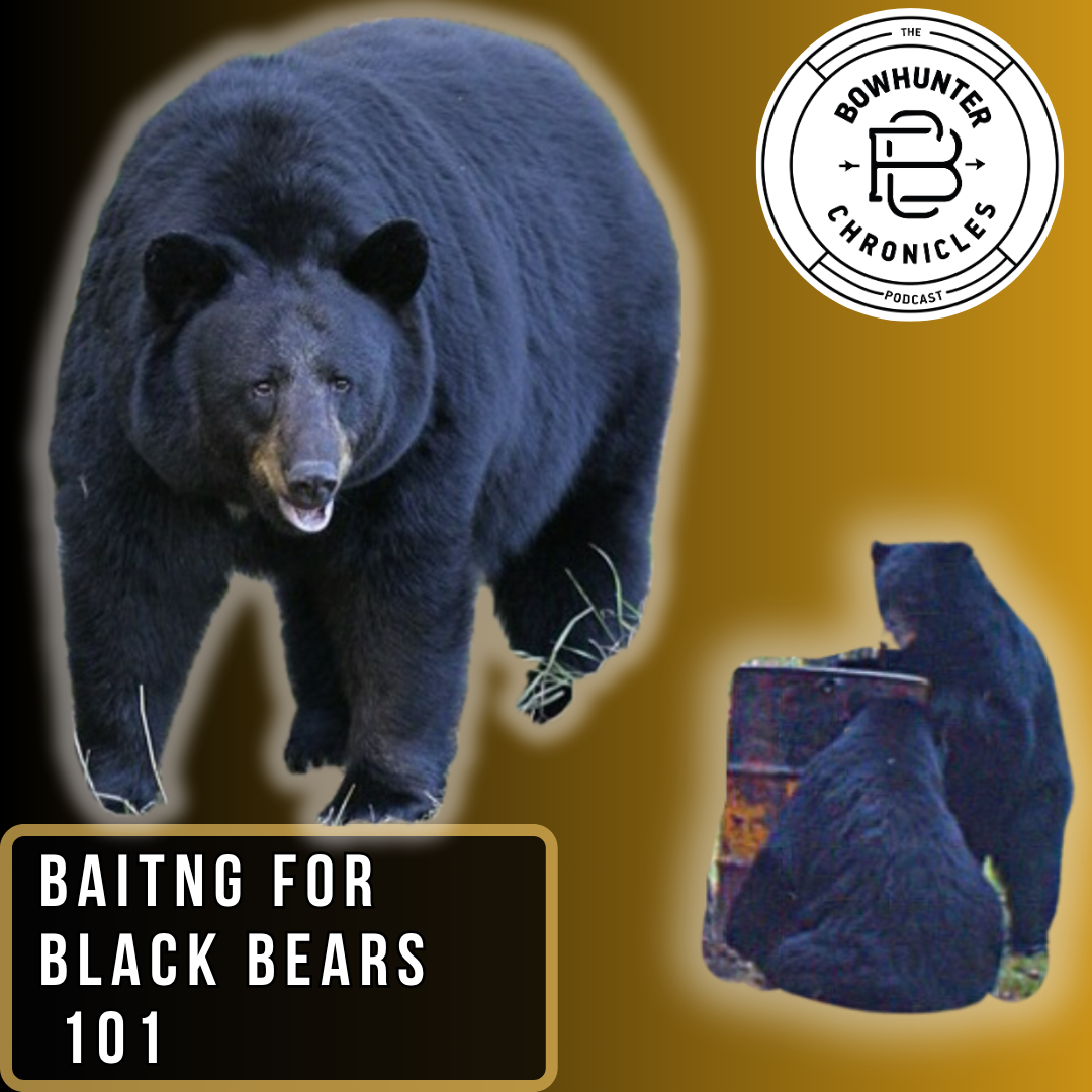 Bowhunter Chronicles Podcast