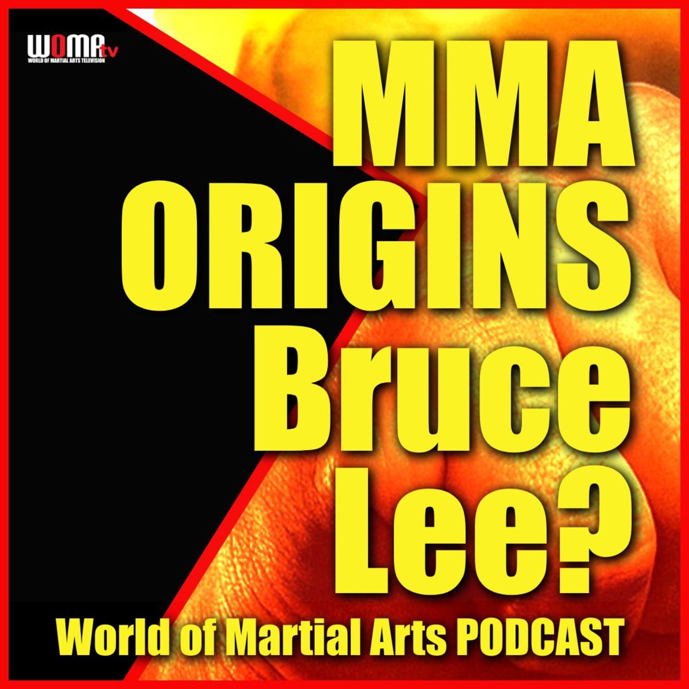 World of Martial Arts Show