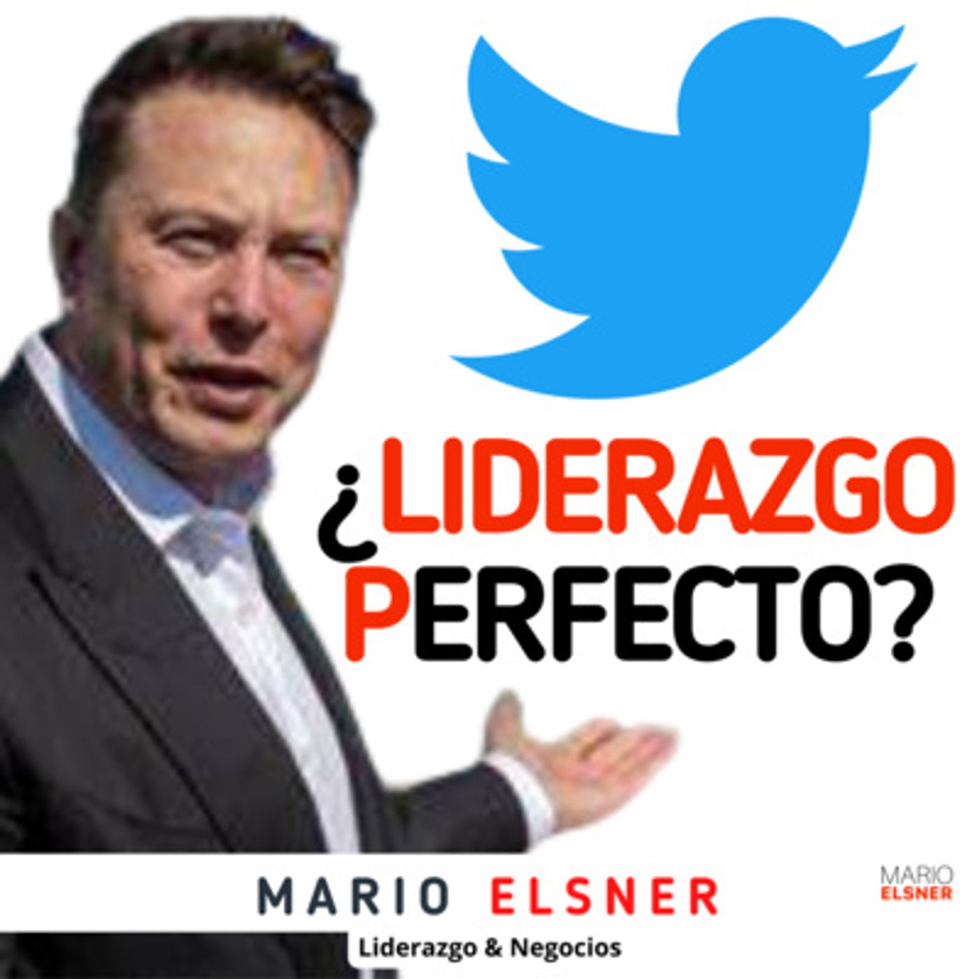Portada de ¿Cómo lo haría un DIRECTOR?