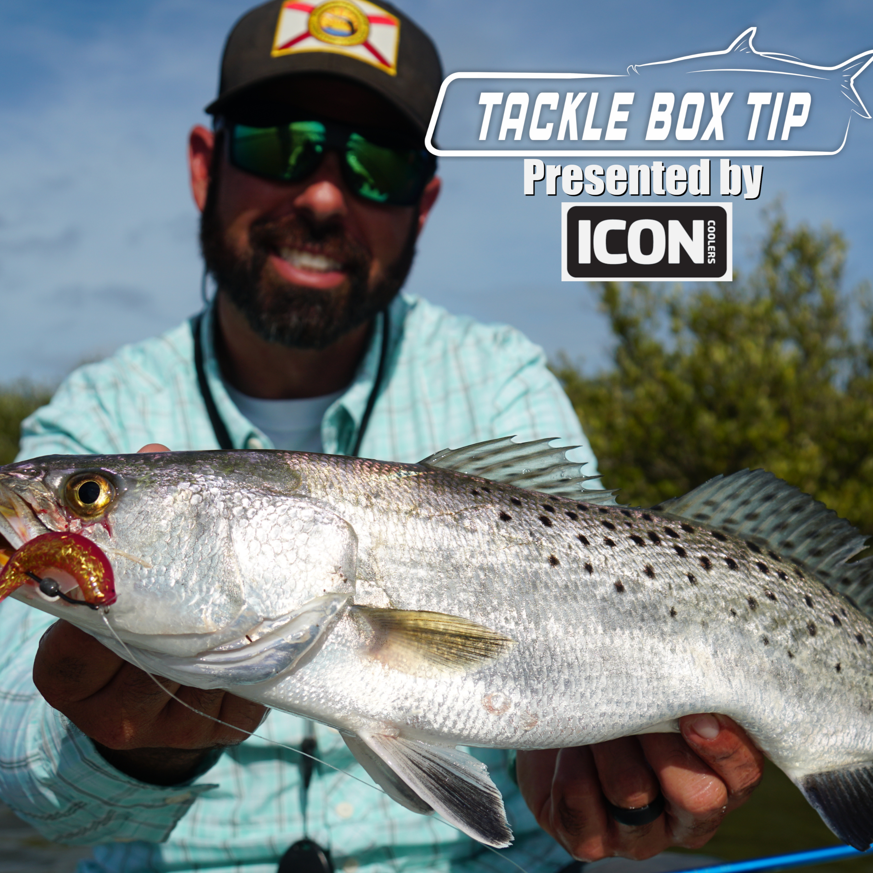 The Captain\'s Log Radio