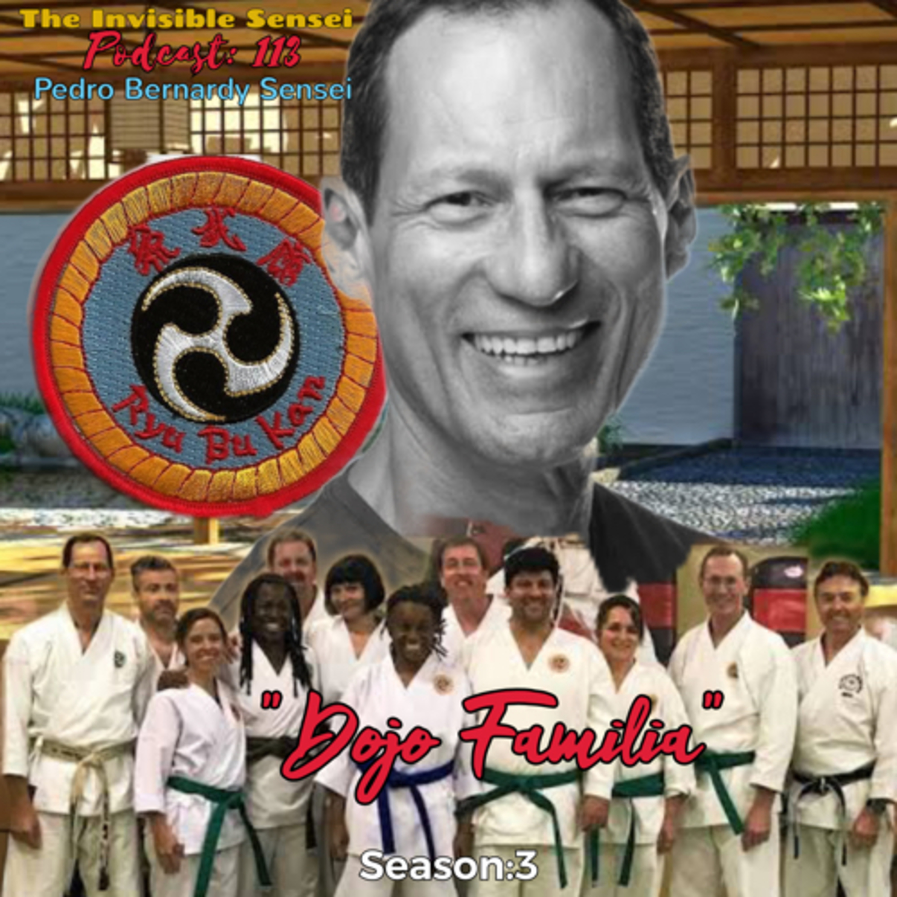 The Invisible Sensei