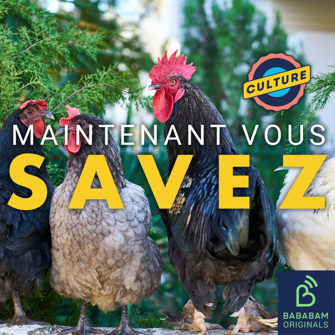 Pourquoi le coq est-il l’emblème de la France ? 