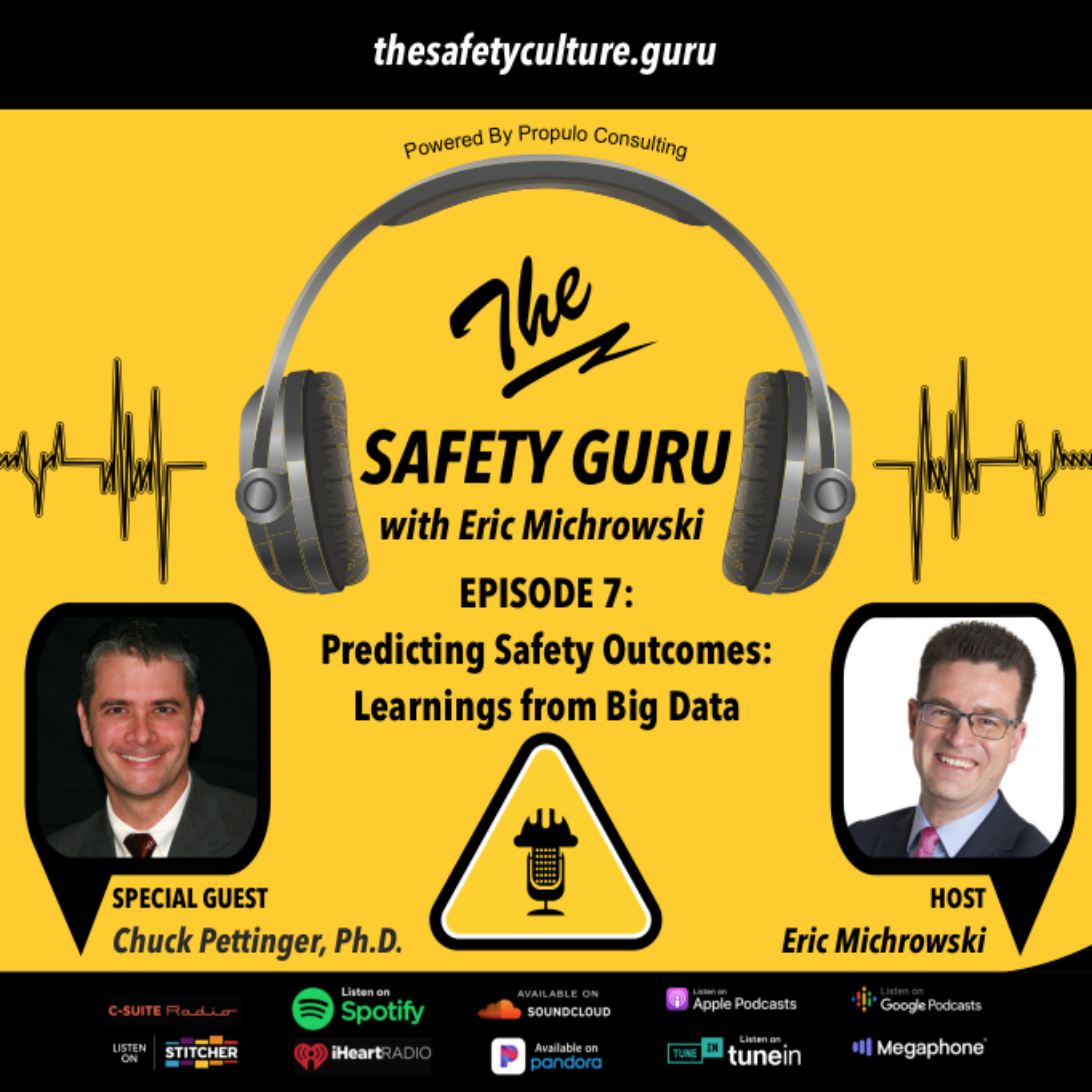 The Safety Guru