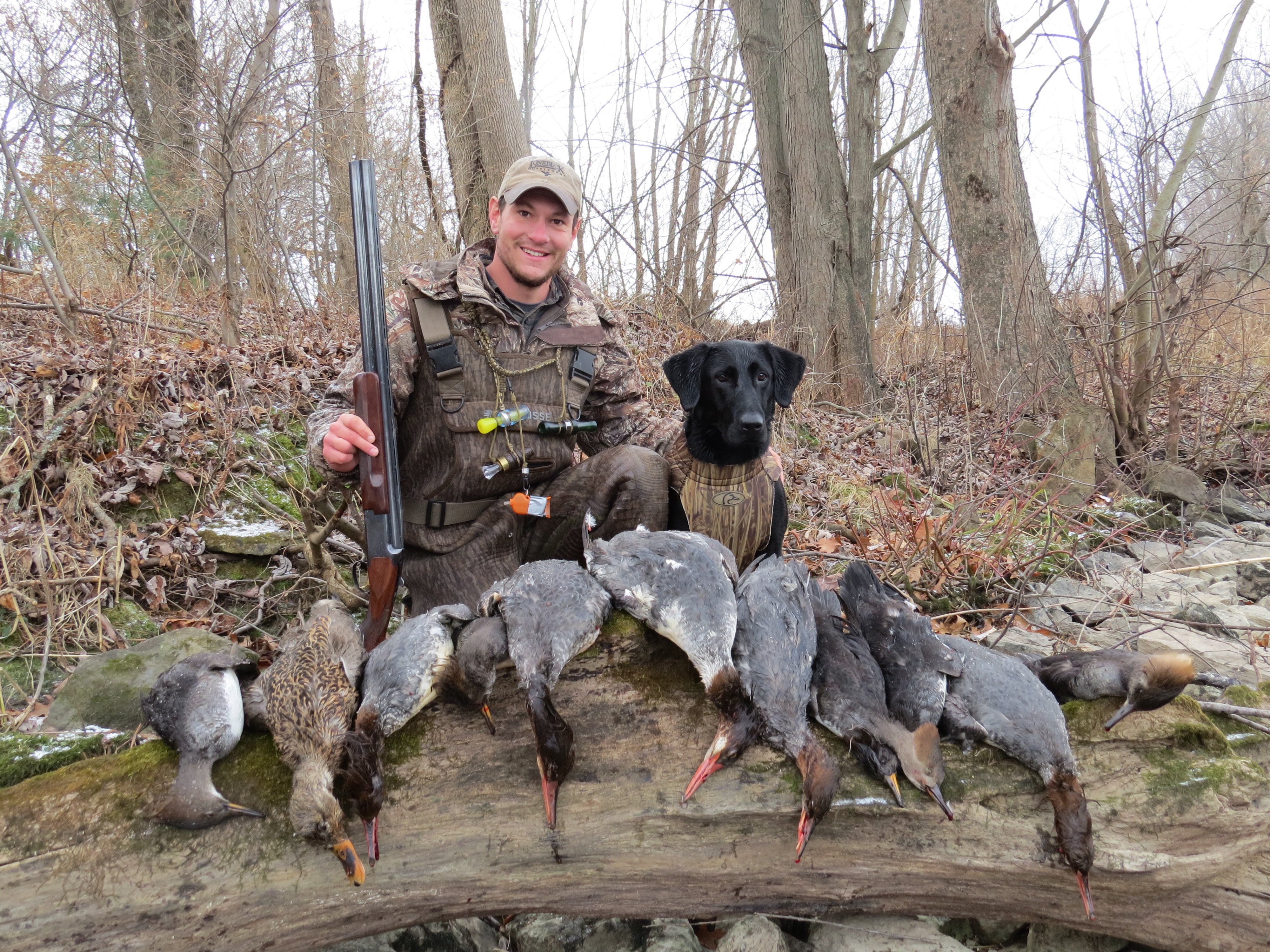 E 274. SEWE, Bob Sleds and Dog Training