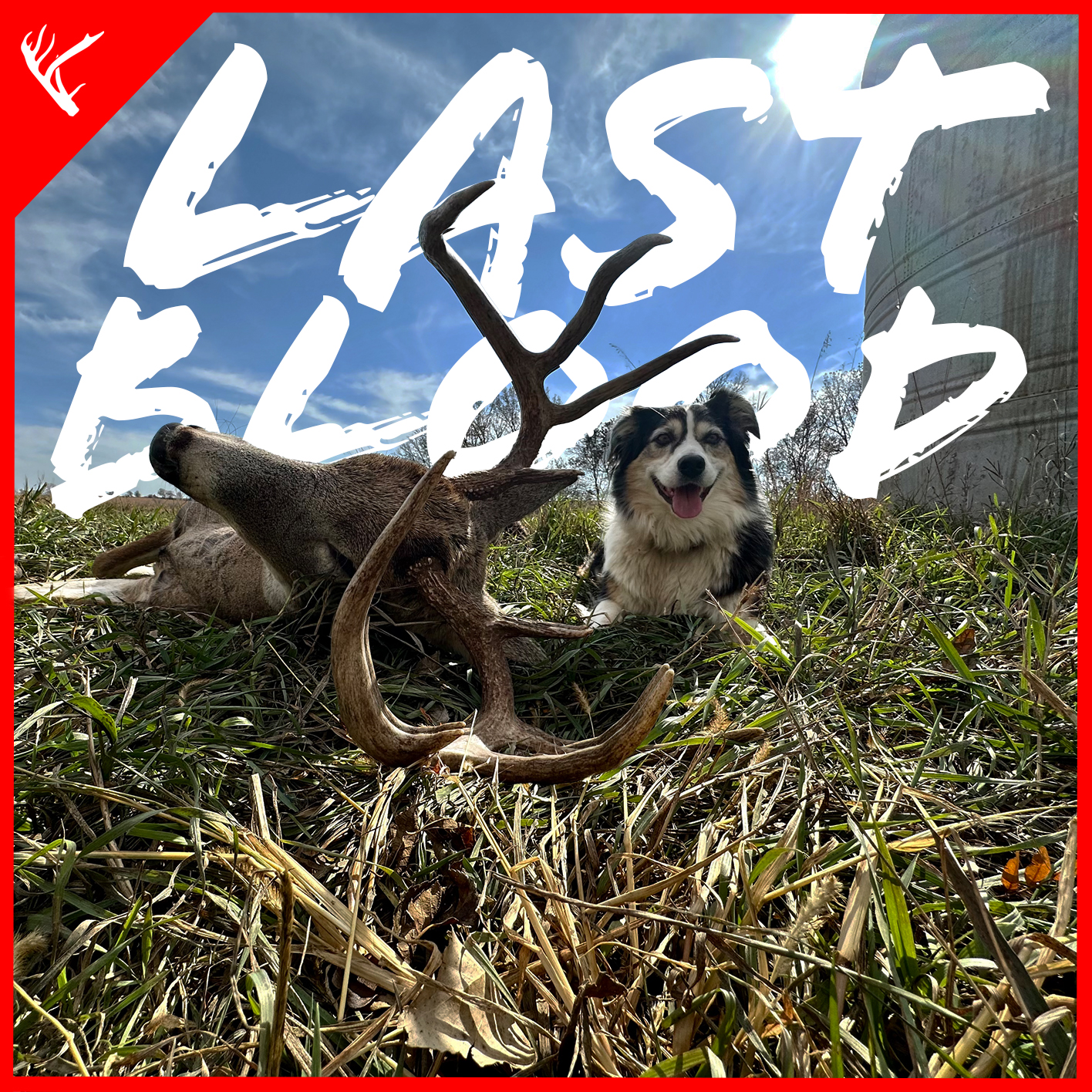 Last Blood | EP 4 Realities of being a deer tracker