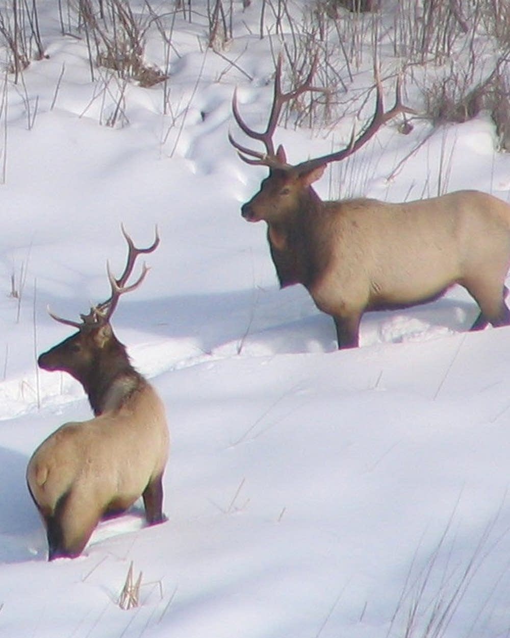 FullScale Outdoors Podcast