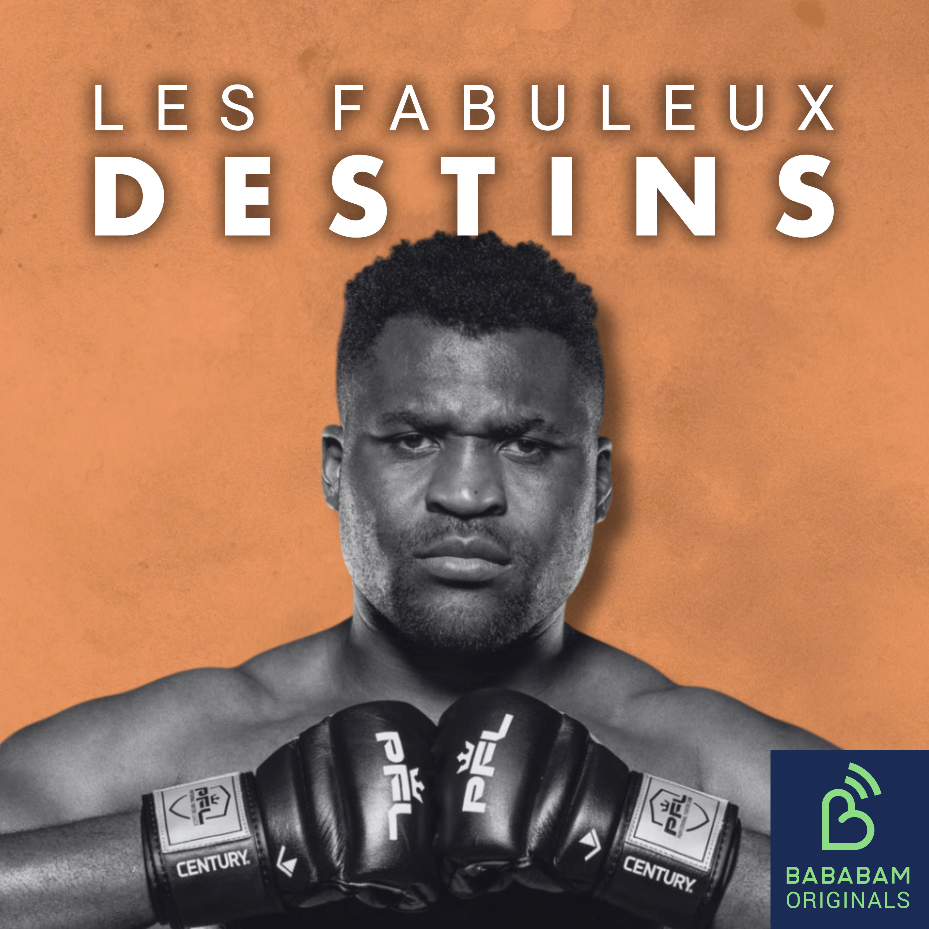Francis Ngannou, un combattant hors-norme : le miraculé (1/4)