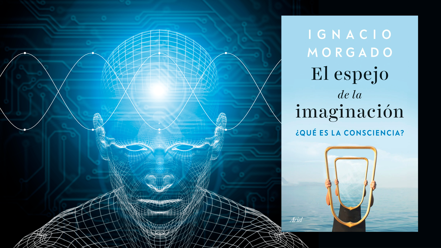 ¿Dónde está la conciencia?