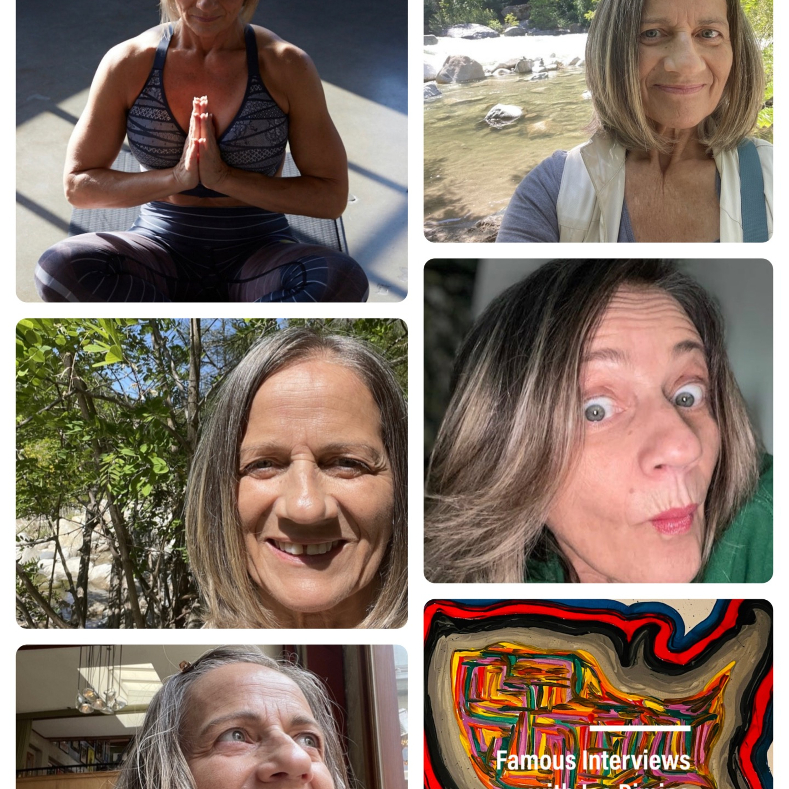Soul Alignment Guide Denise Miceli