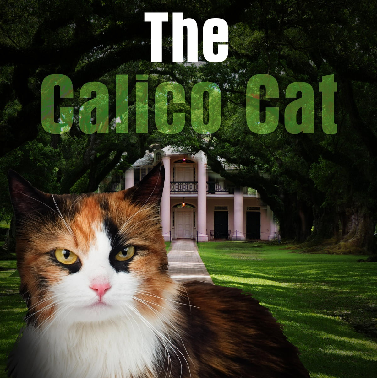 The Calico Cat by Charles Miner Thompson ~ Full Audiobook