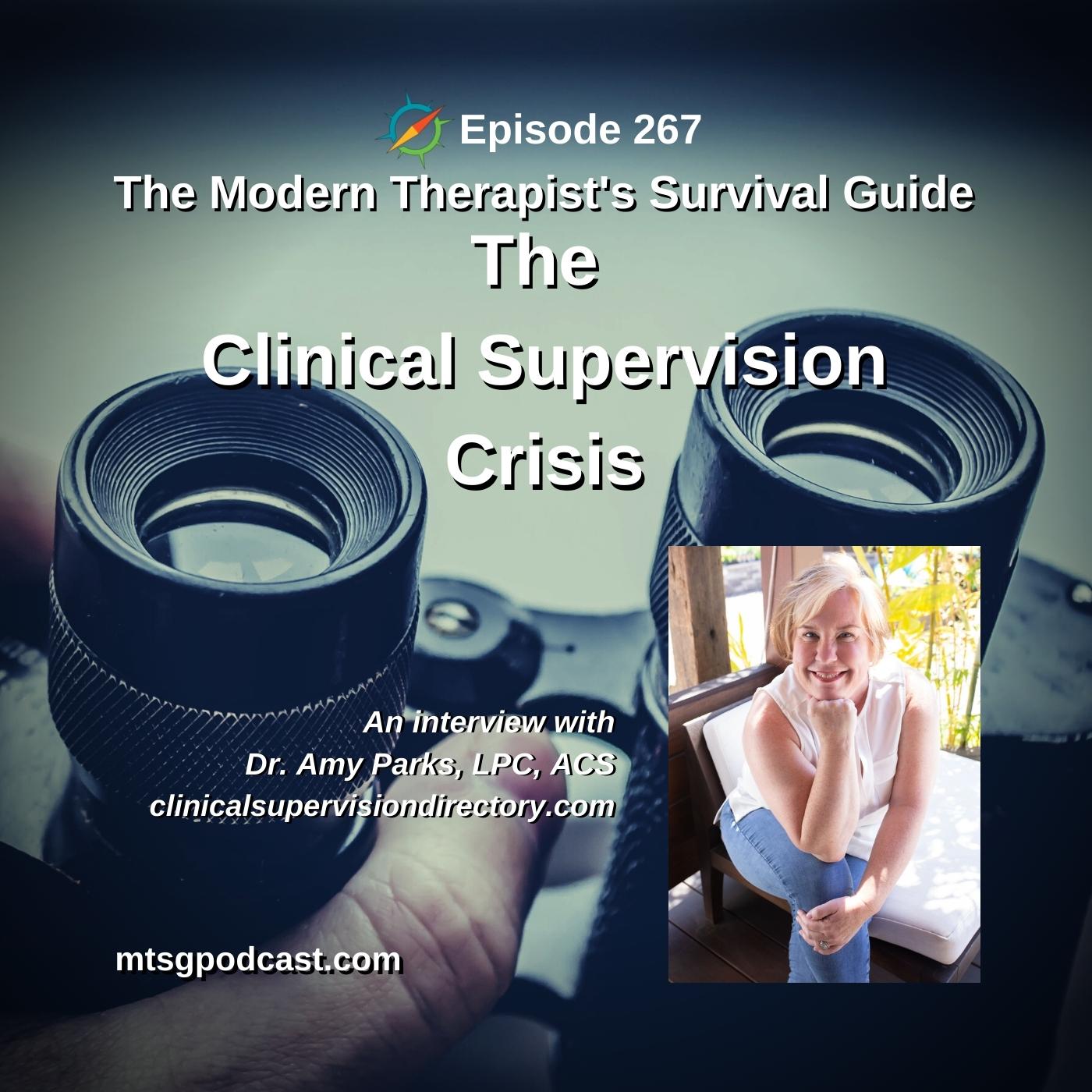 The Modern Therapist\'s Survival Guide with Curt Widhalm and Katie Vernoy