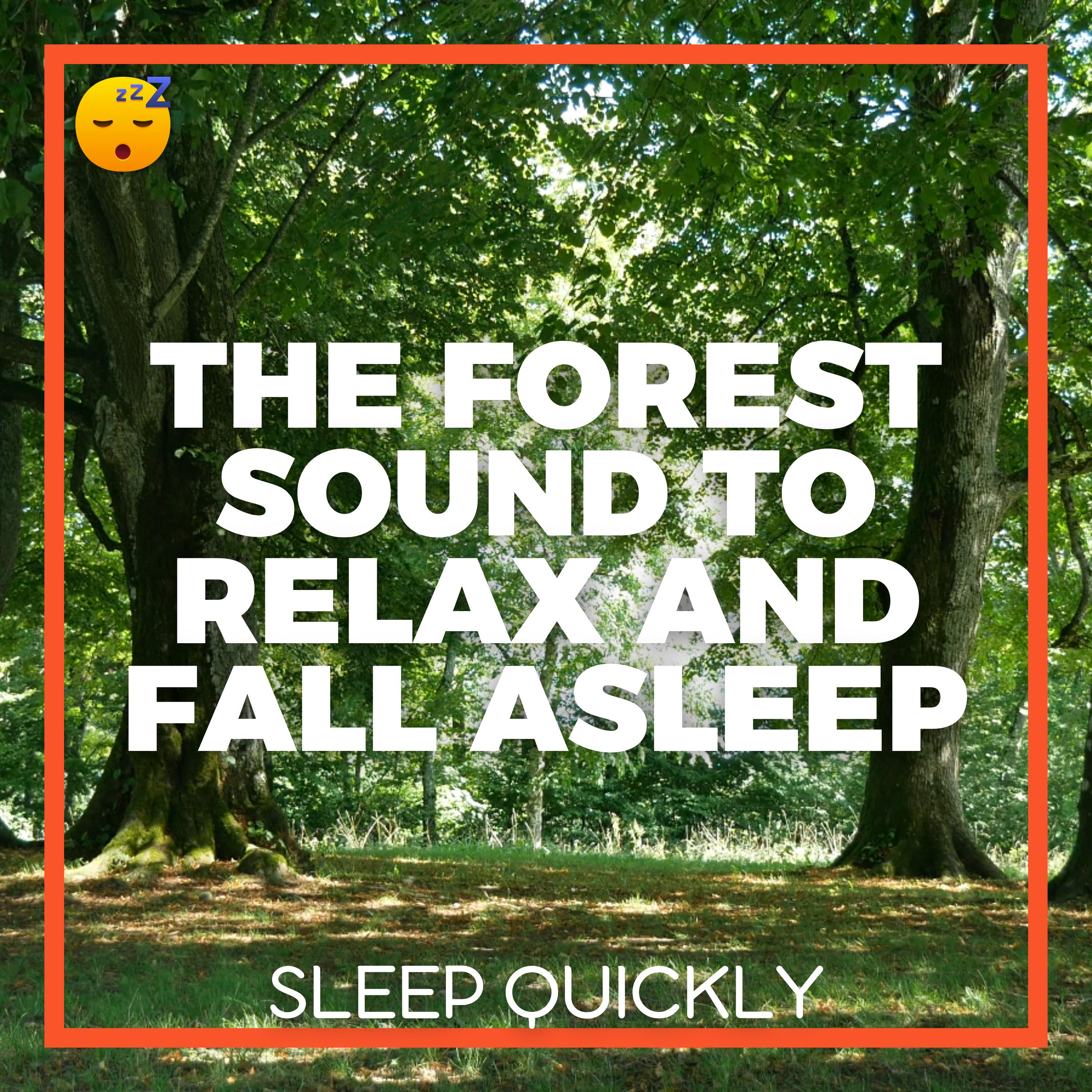 😴🍂🎵 Gentle BIRDSONG and Soothing MELODY to Promote SLEEP episode artwork