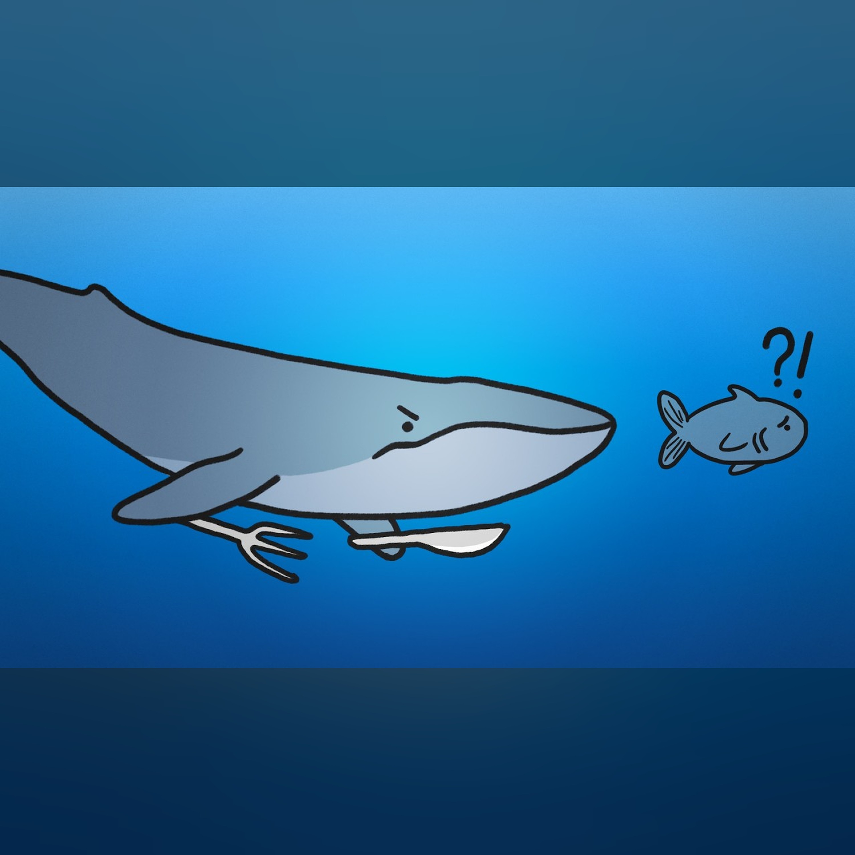 Why Don't Blue Whales Eat Fish?