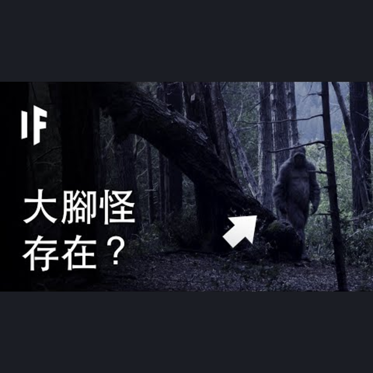 如果大腳怪真的存在？｜ 大膽科學 episode artwork