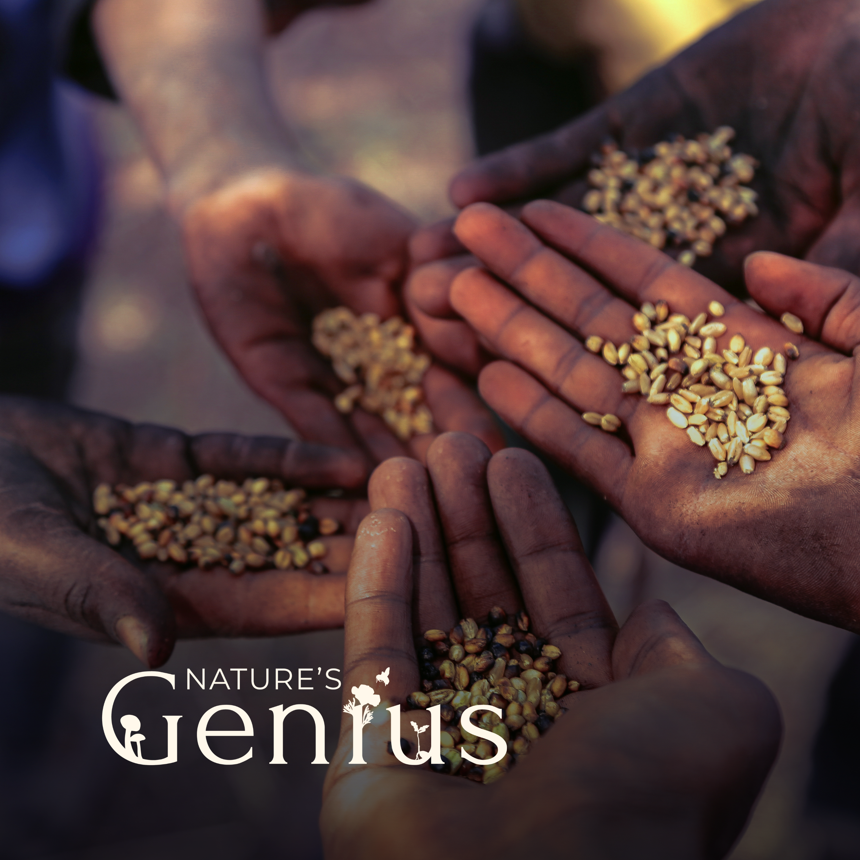 The Nature of Language and the Language of Nature