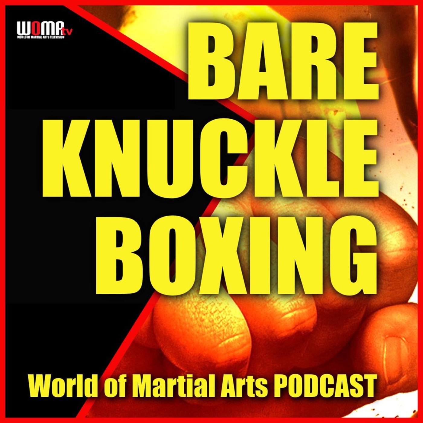 World of Martial Arts Show