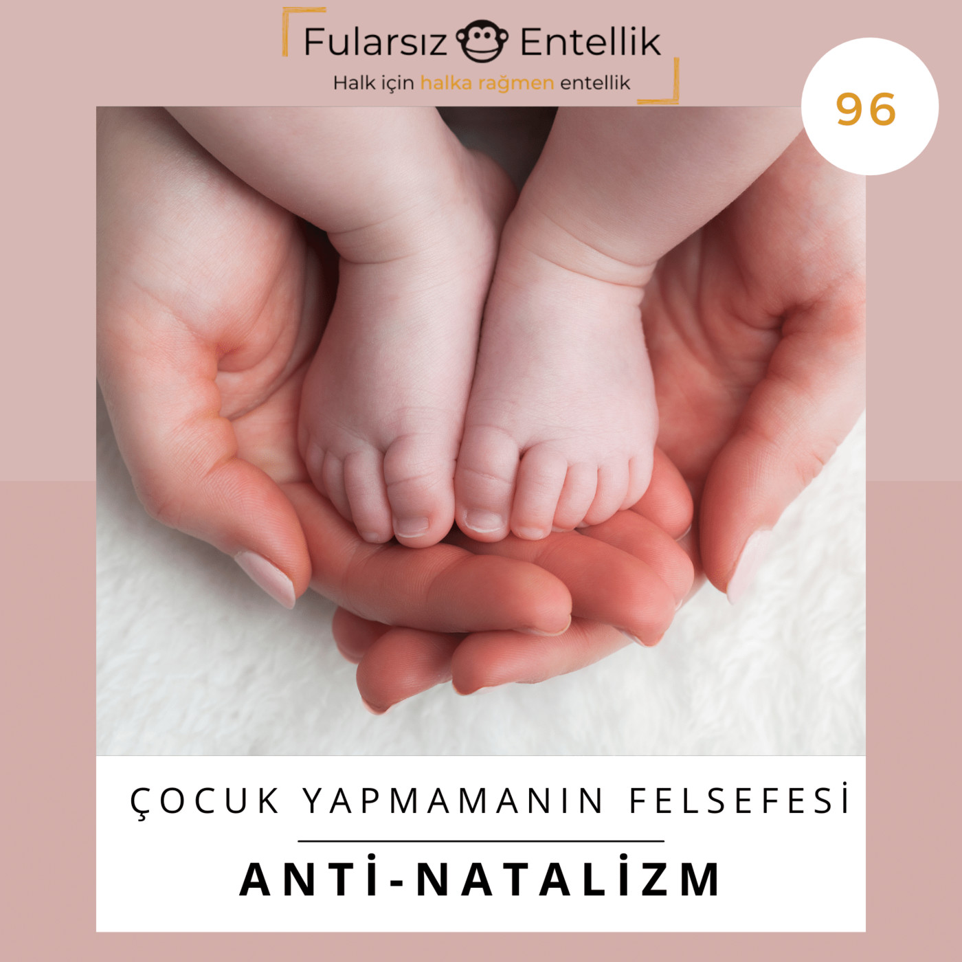 Fularsız Entellik