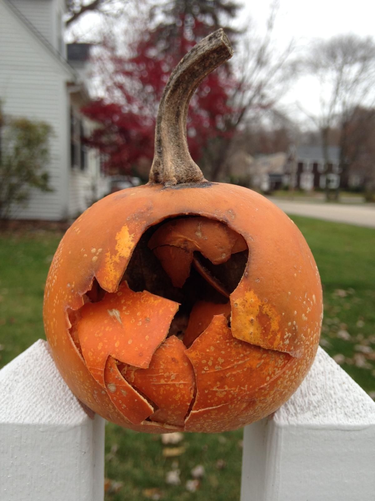 Smashing Pumpkins-The Gourd That Changed A Town