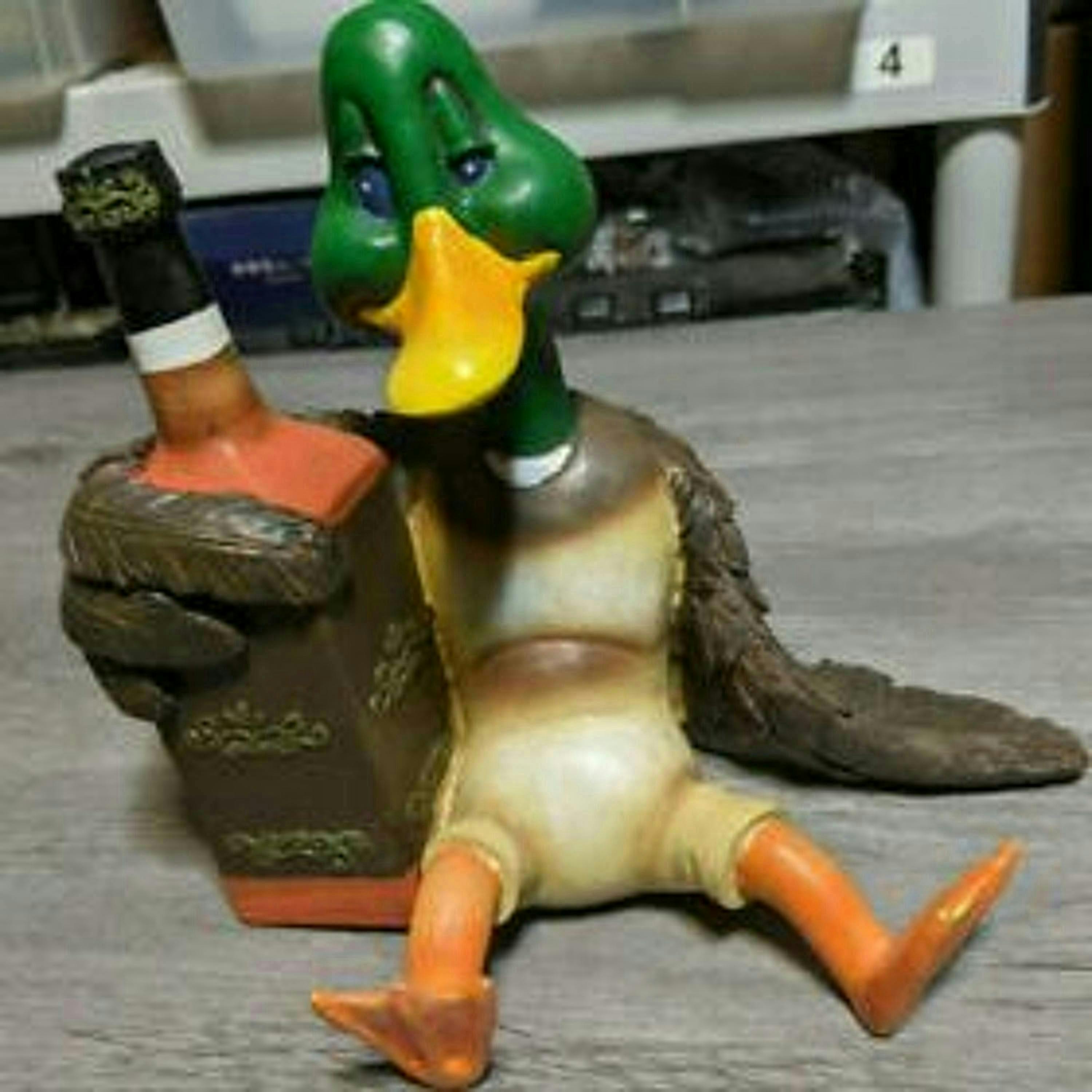 239 - The Life and Times of Jake the Duck!