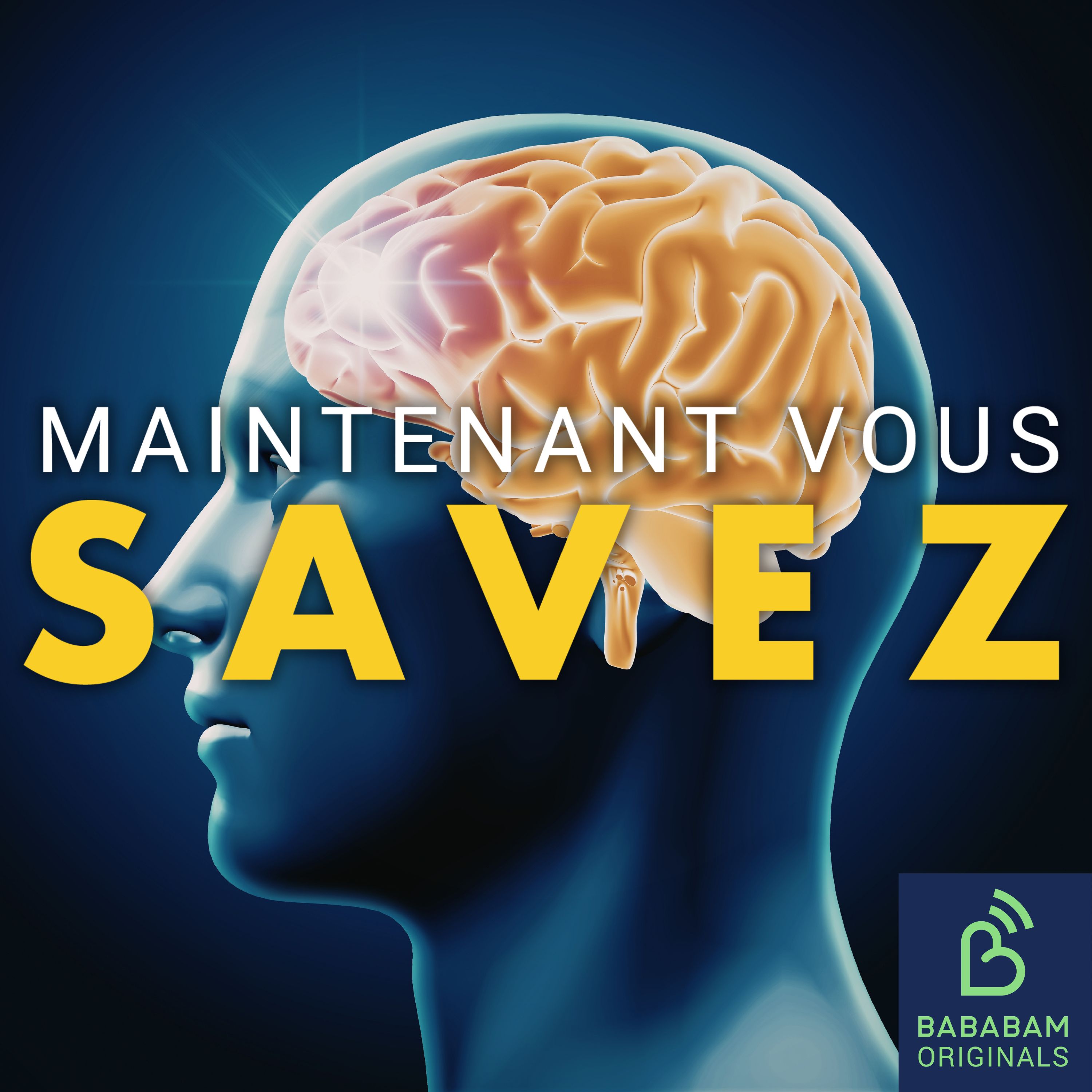 Pourquoi le cerveau est-il notre principal organe sexuel ?