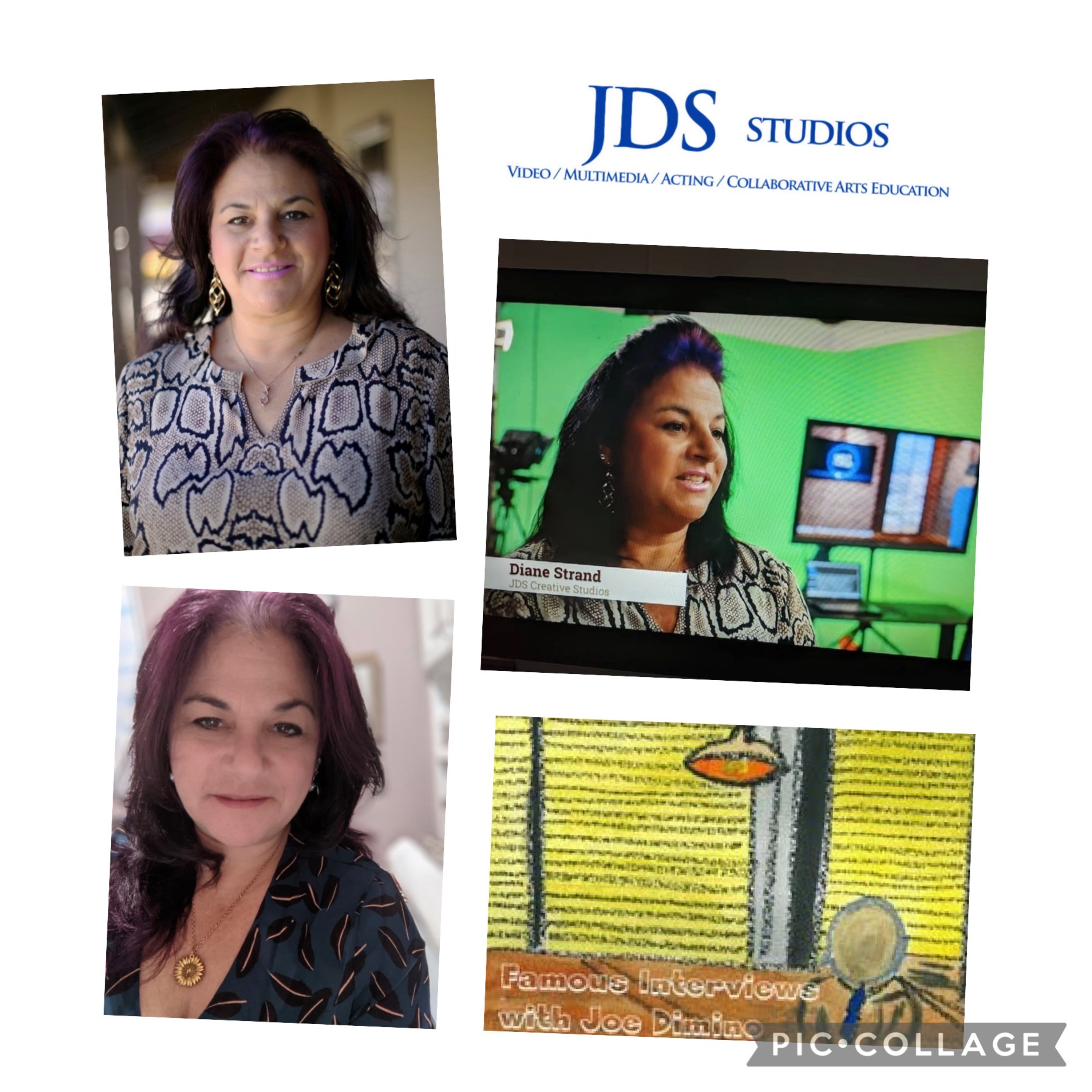 Executive Producer & Founder of JDS Creative Academy Diane Strand episode artwork
