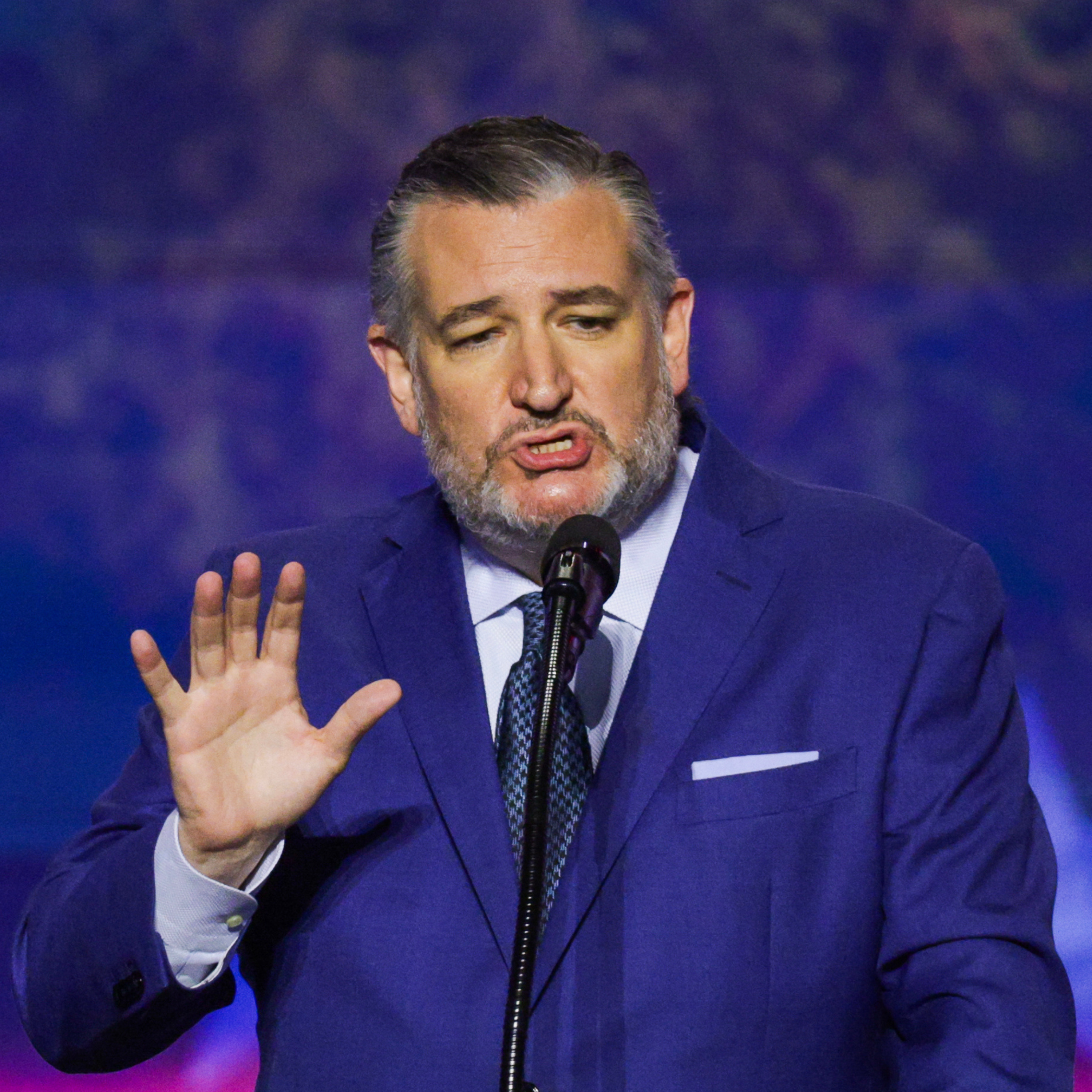 The anti-Muslim midterms