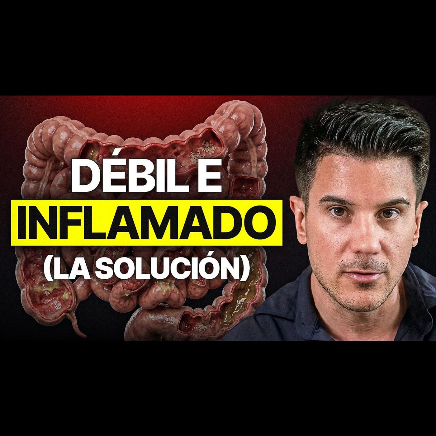Tu INTESTINO es DÉBIL: aprende a entrenar tu sistema digestivo