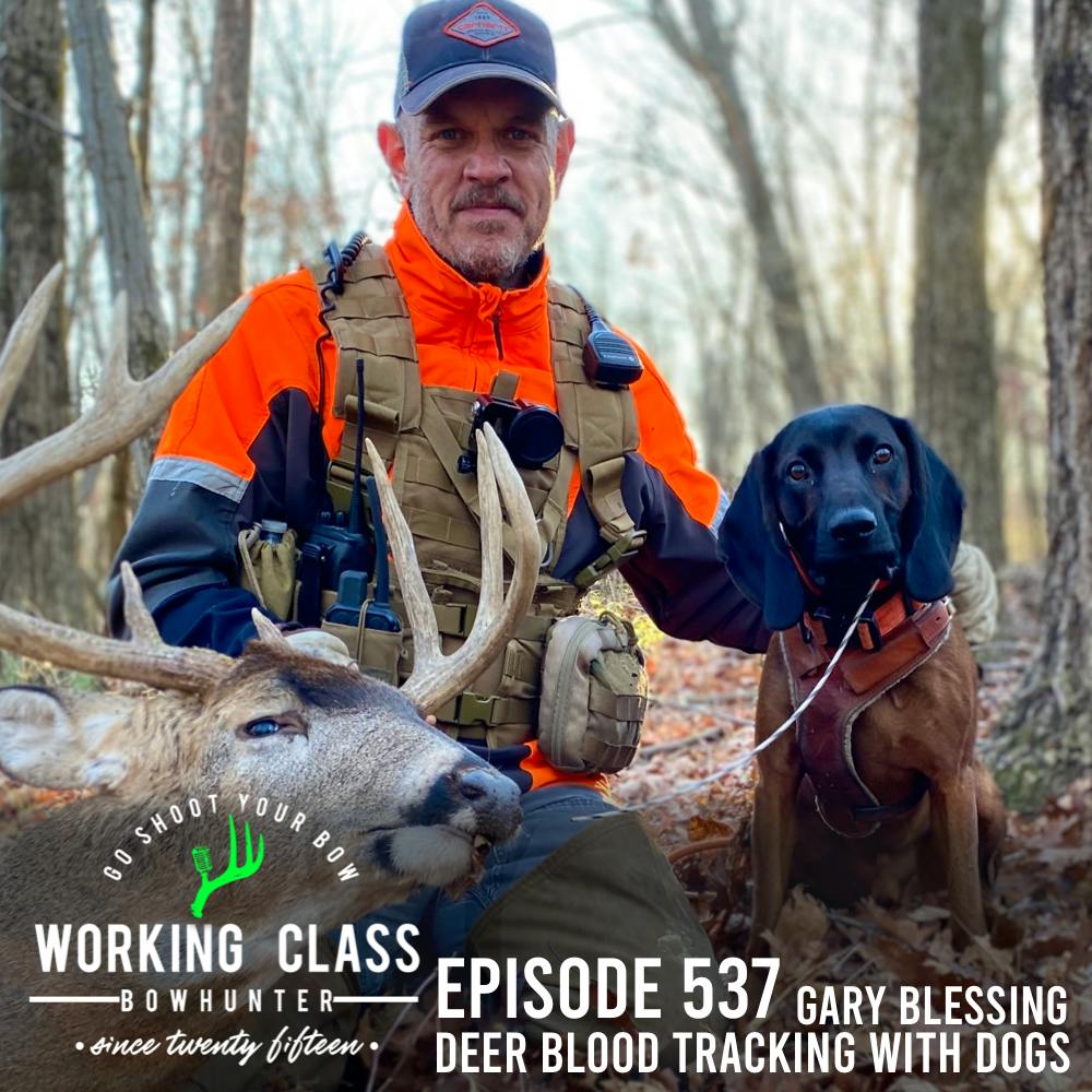 537 Deer Blood Tracking With Dogs - Gary Blessing