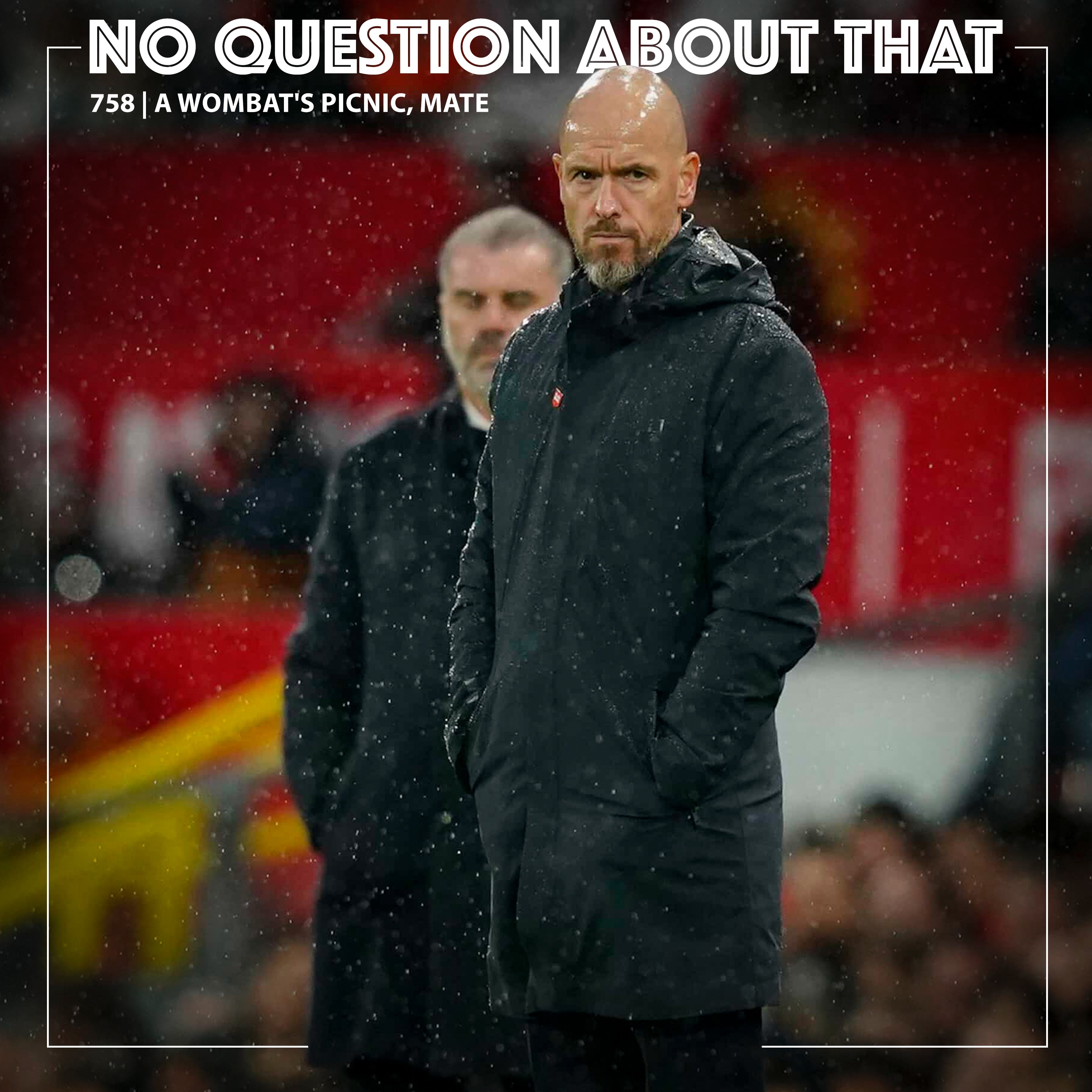 A Wombat's Picnic, Mate