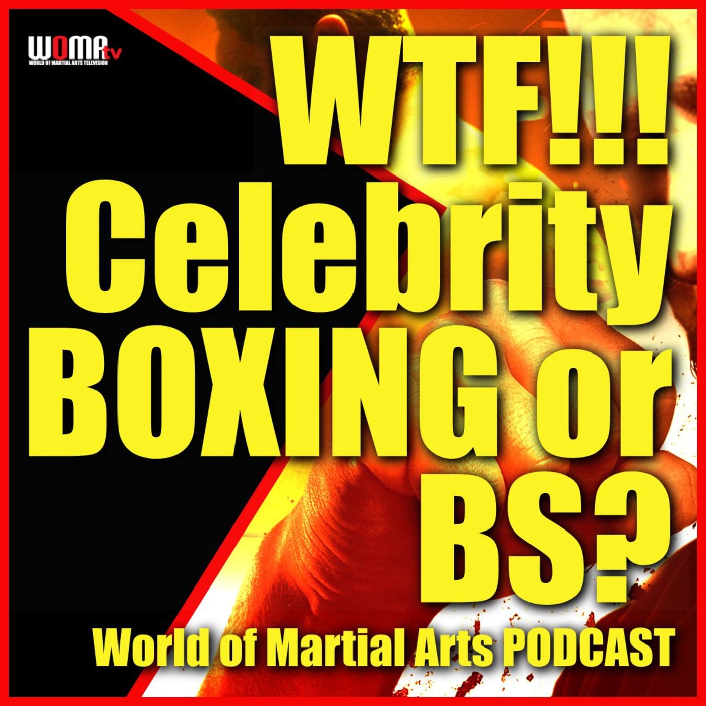 World of Martial Arts Show