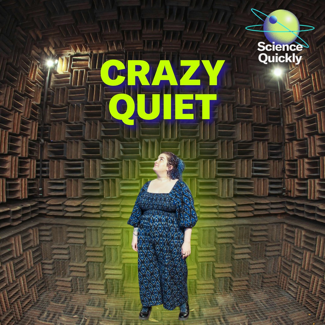 Enter One of the World’s Quietest Rooms